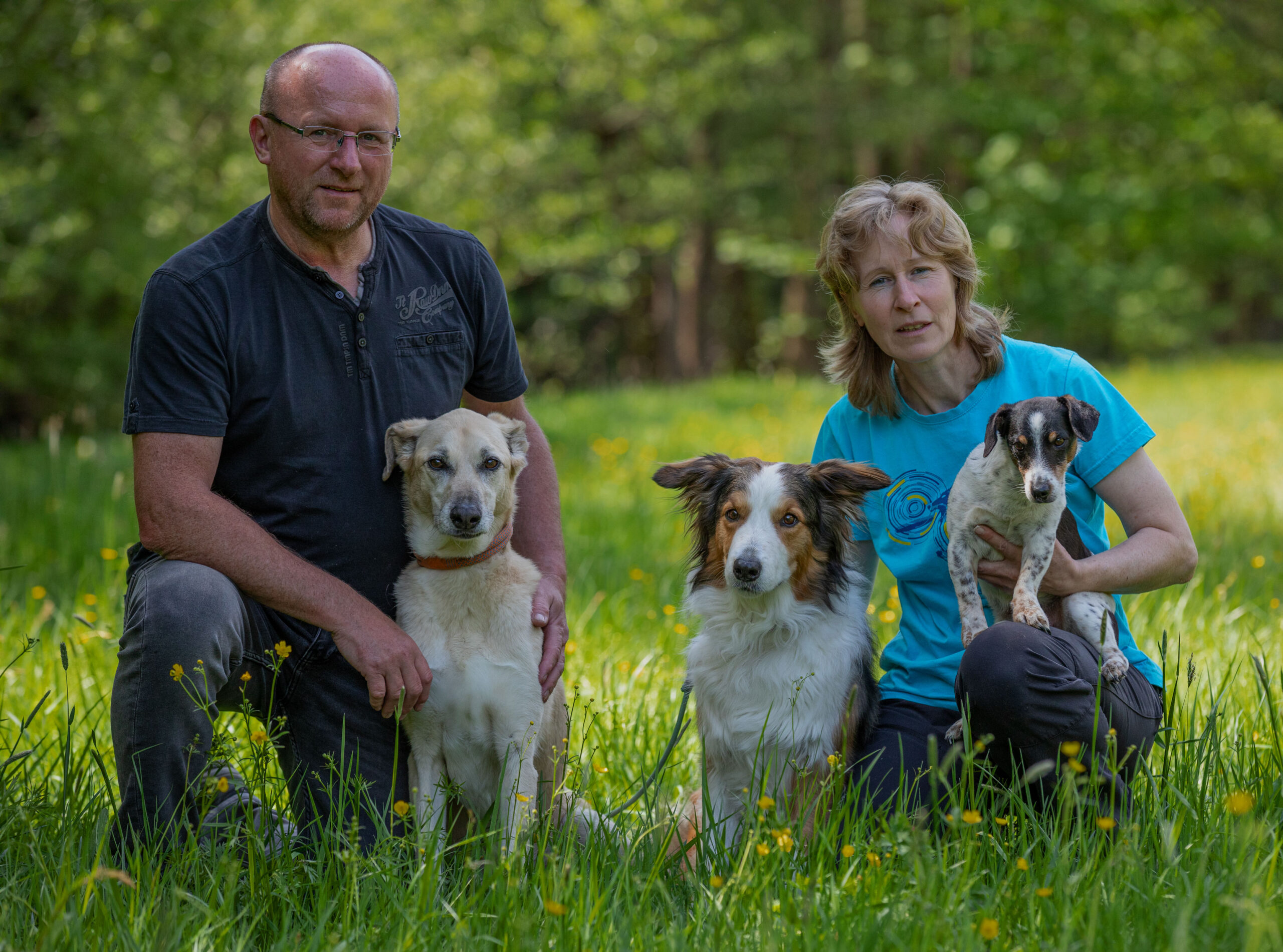 Große Hundefamilie