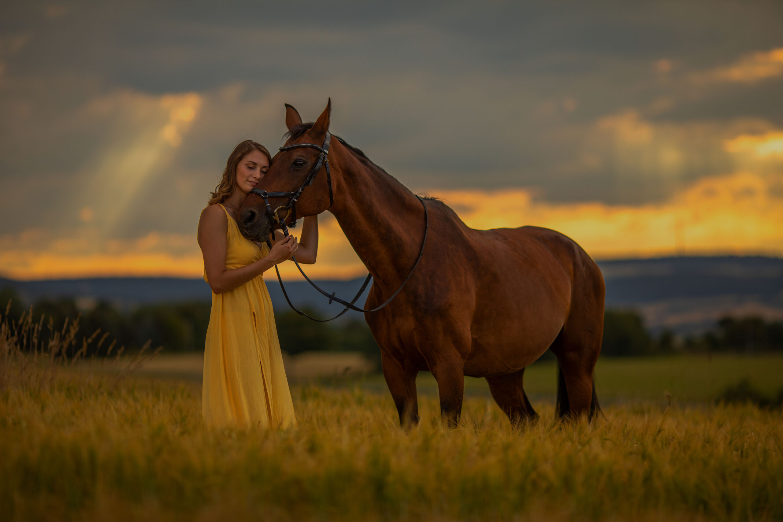 Pferd mit Frau im Weizenfeld, Emotionale Pferdeportraits