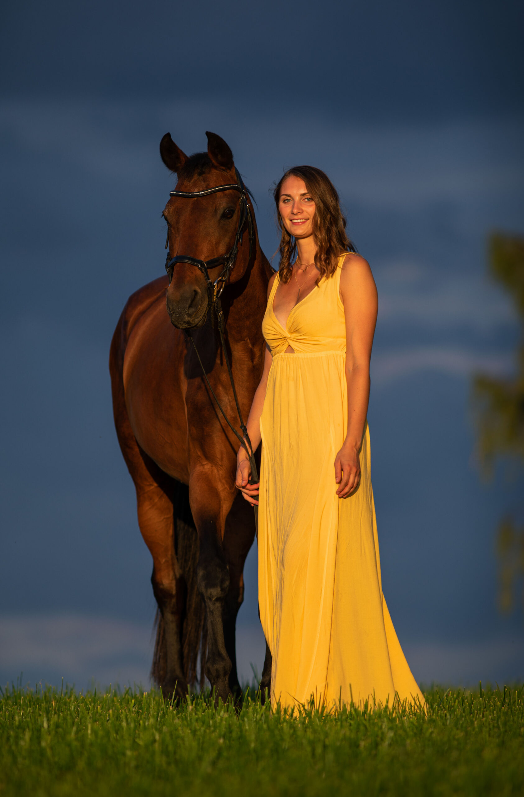 Frau im gelben Kleid mit Pferd