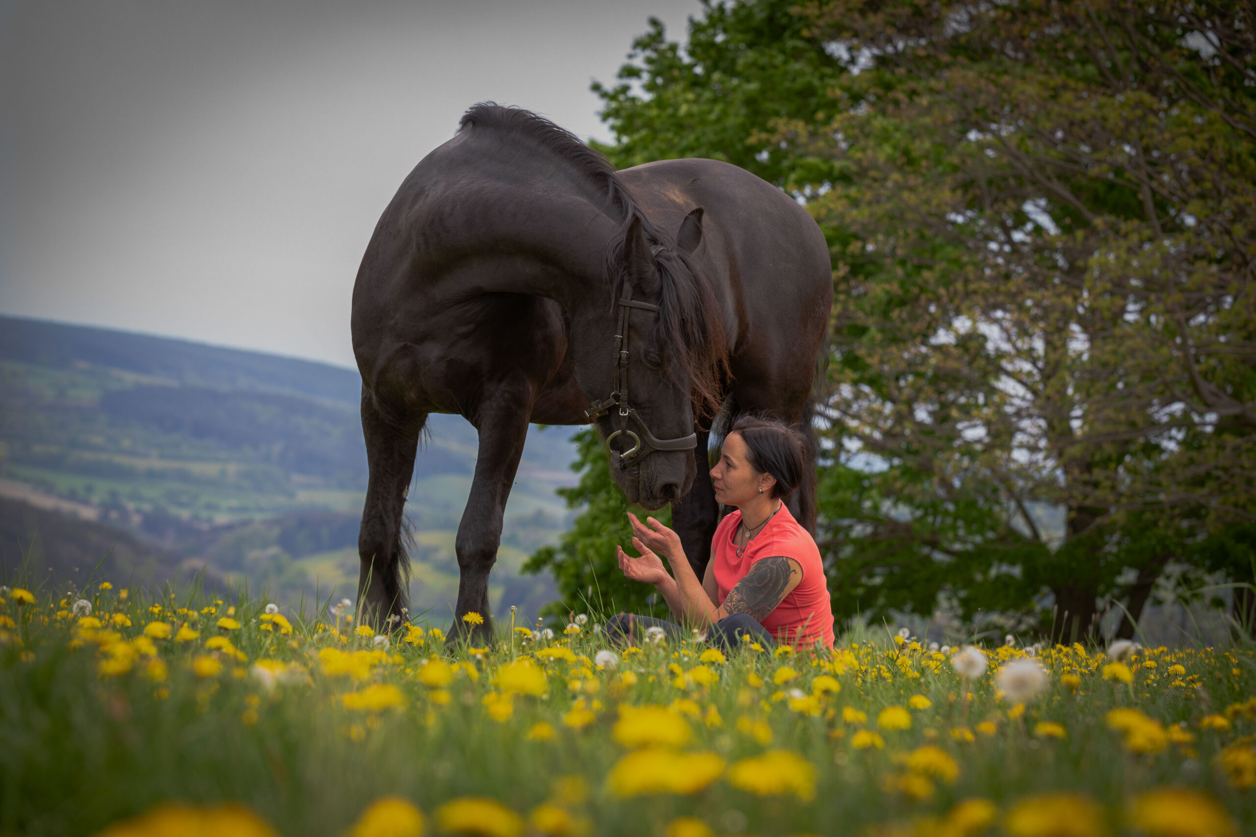 Pferd beugt sich herab zu seiner Reiterin, Pferdelover, Emotionale Pferdeportraits