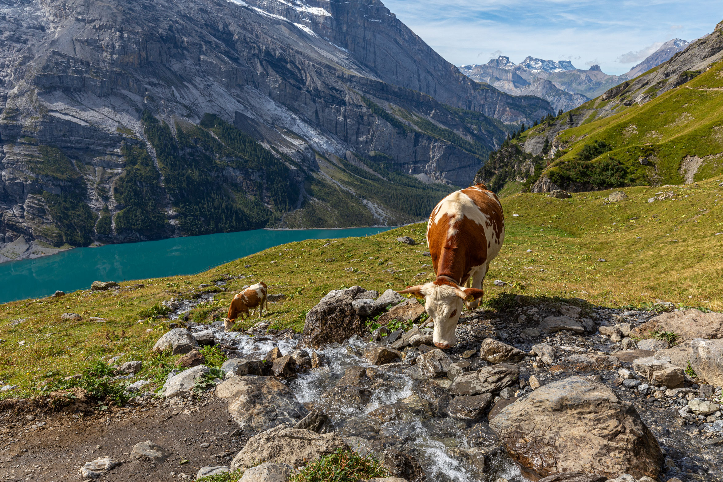 Alpenidyll am Oeschinensee