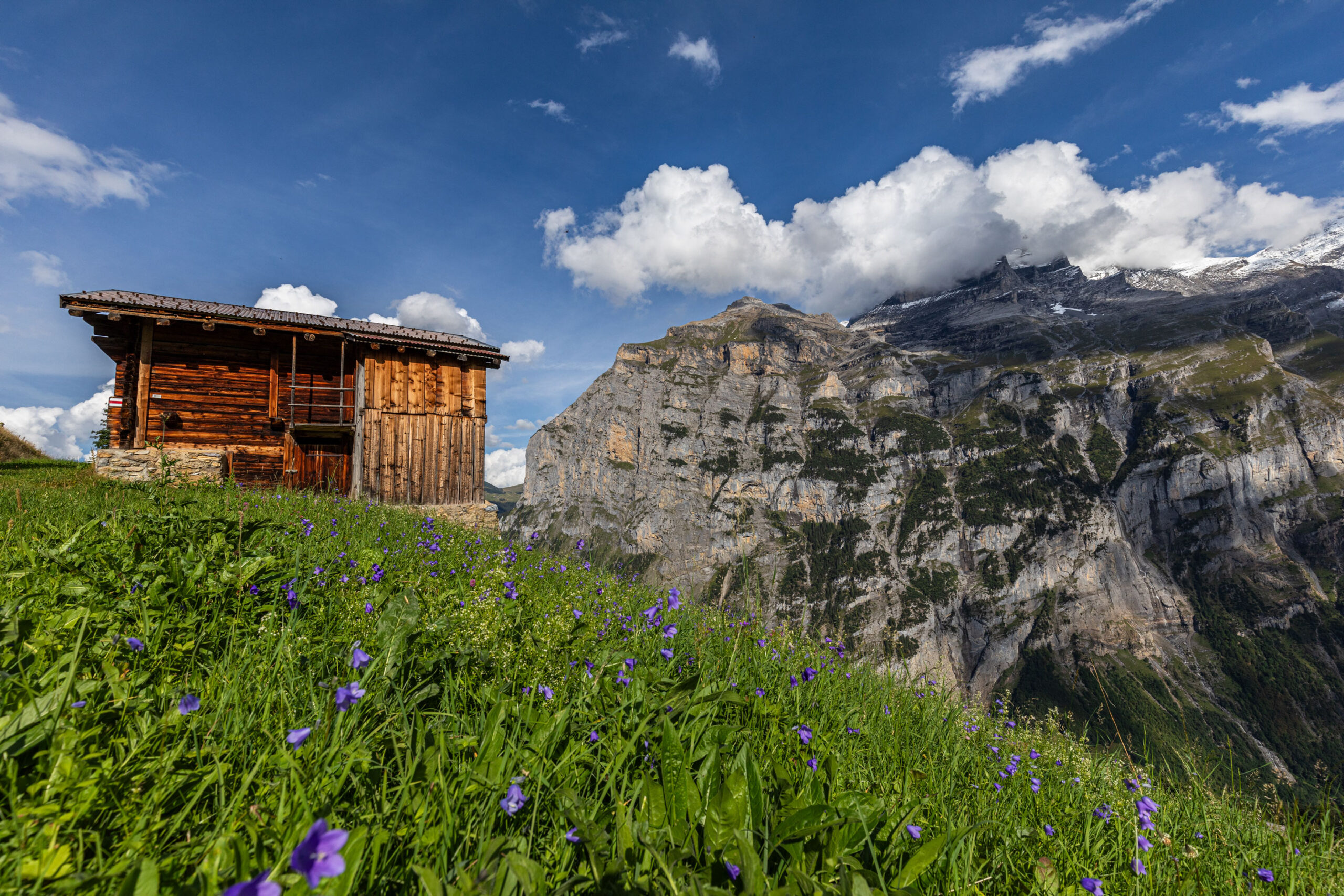 Eine der vielen Heuhütten auf den Almen zwischen Gimmelwald und Mürren