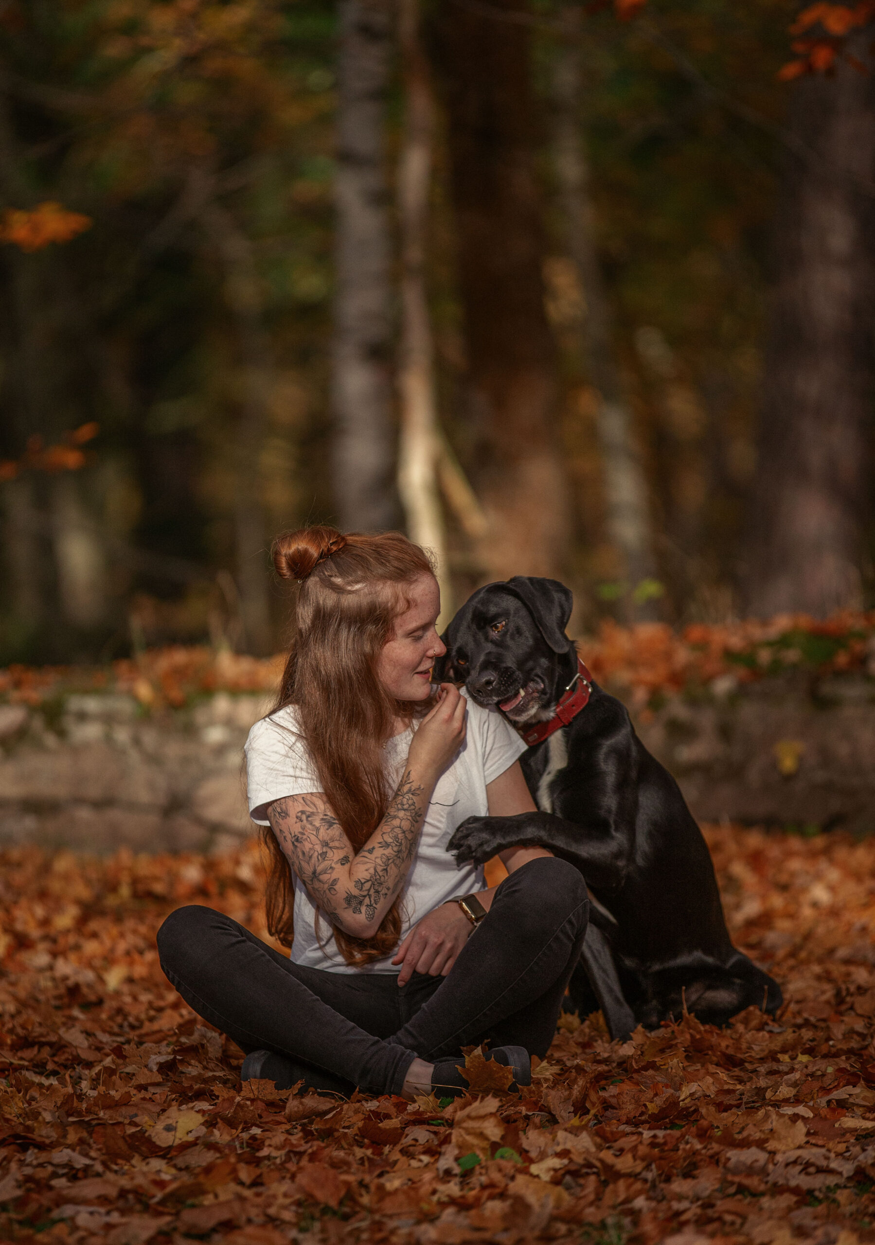 Hund schmiegt sich an seine Herrin,Hunde und Pferdefotografie im Erzgebirge, Hunde und Pferdeshooting im Erzgebirge. Emotionale Hundeportraits