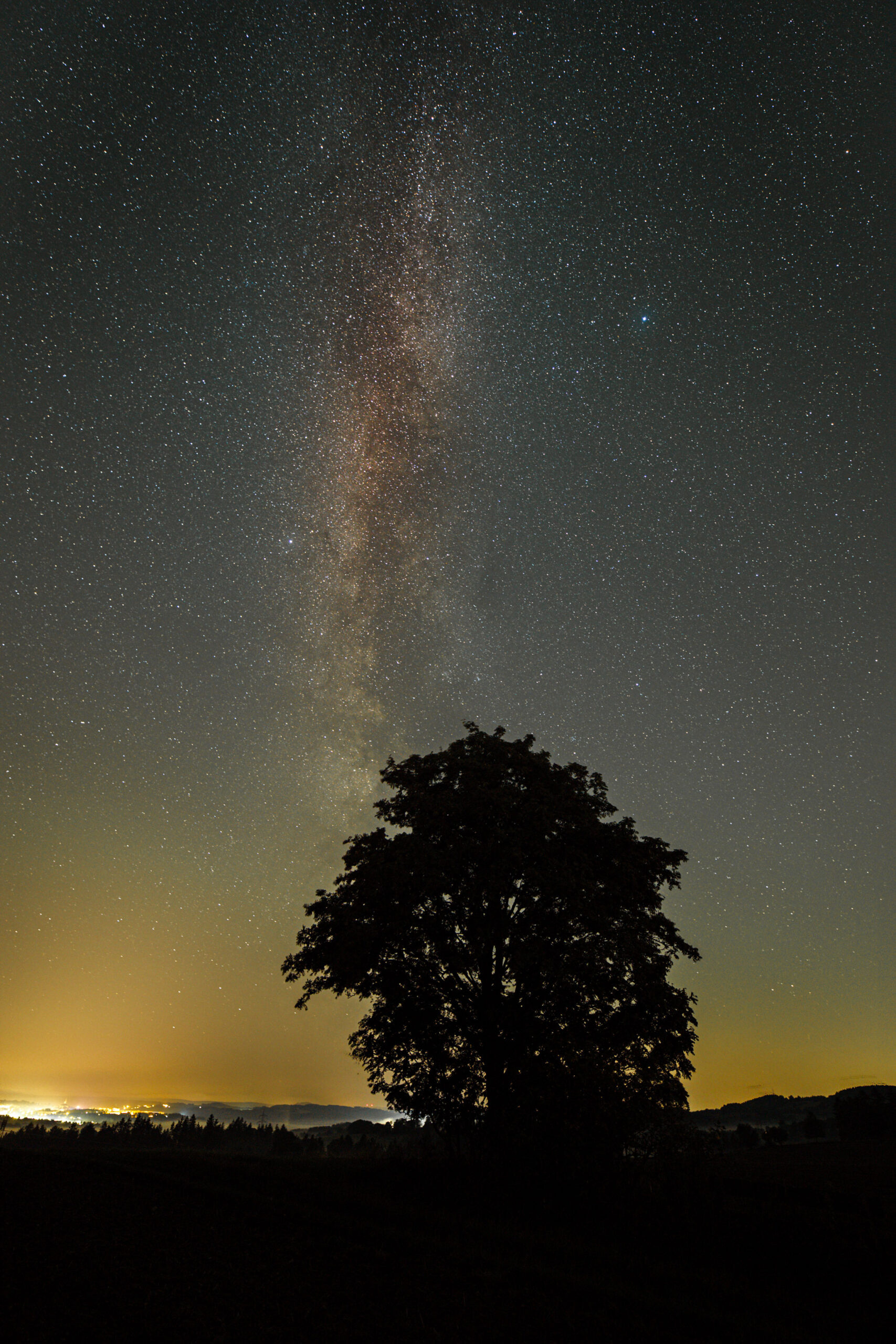 Milchstrasse mit Baum