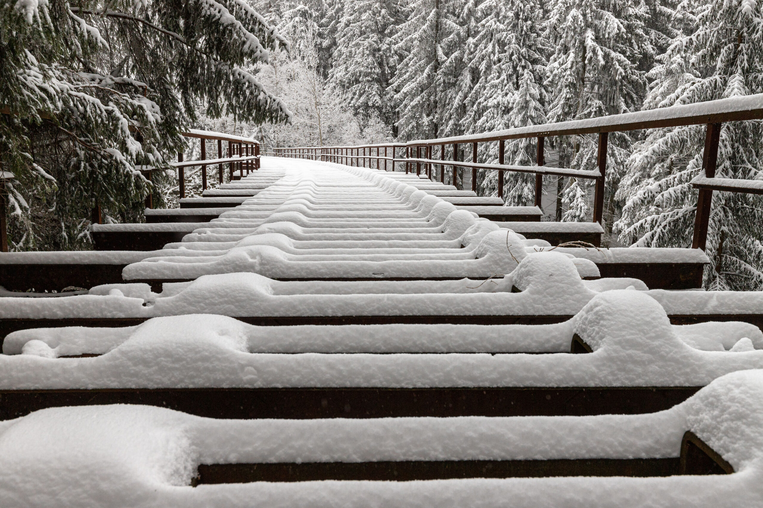 Die Fuchsbrunnbrücke in den winterlichen Wäldern von Zwönitz