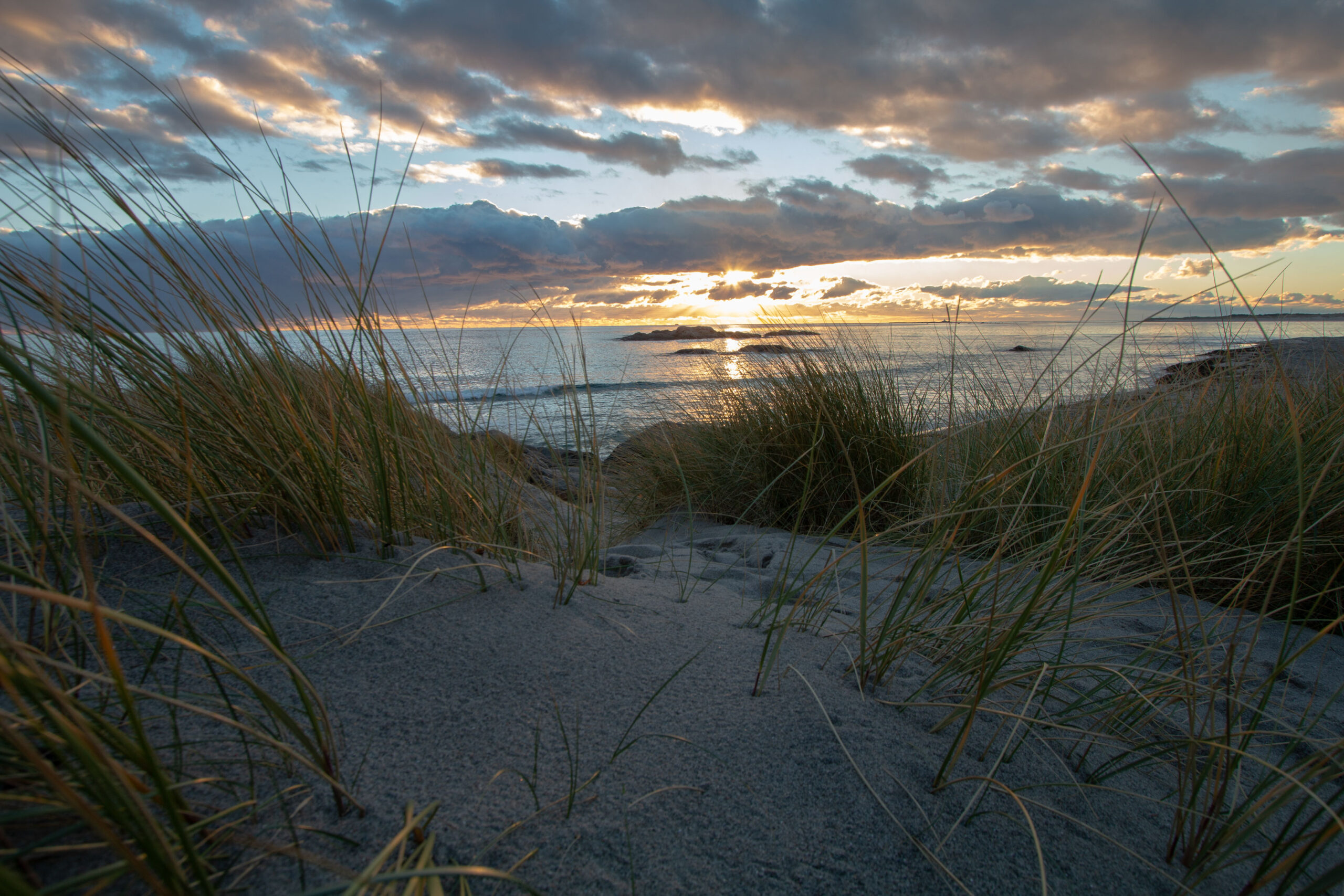 Dünen und weißer Sand sind oft an den Südstränden von Norwegen zu finden