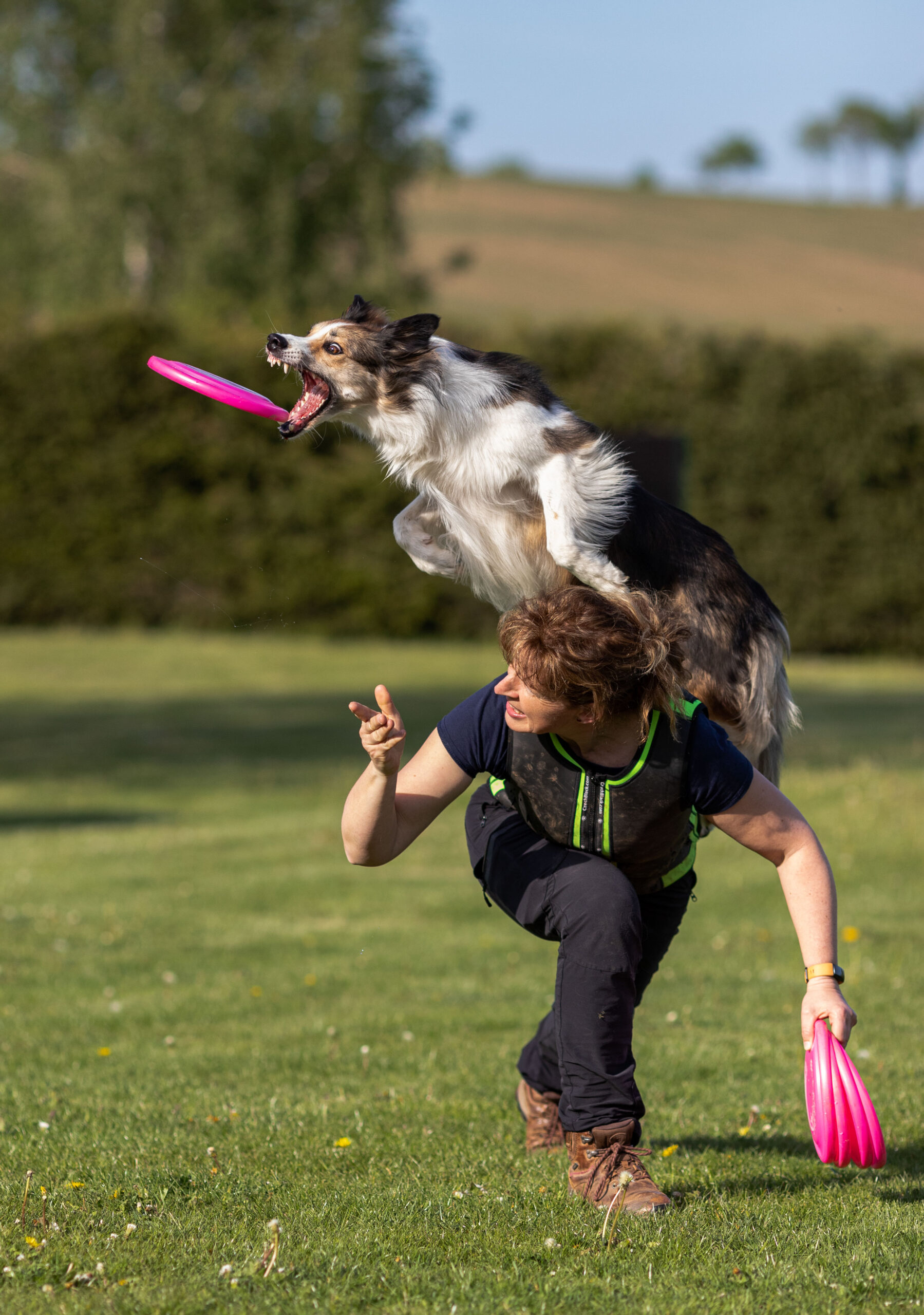 Hund springt über Frau und fängt Frisbeescheibe,Dogfrisbee,Hunde und Pferdefotografie im Erzgebirge, Hunde und Pferdeshooting im Erzgebirge. Dippser Mountain flying Dogs.