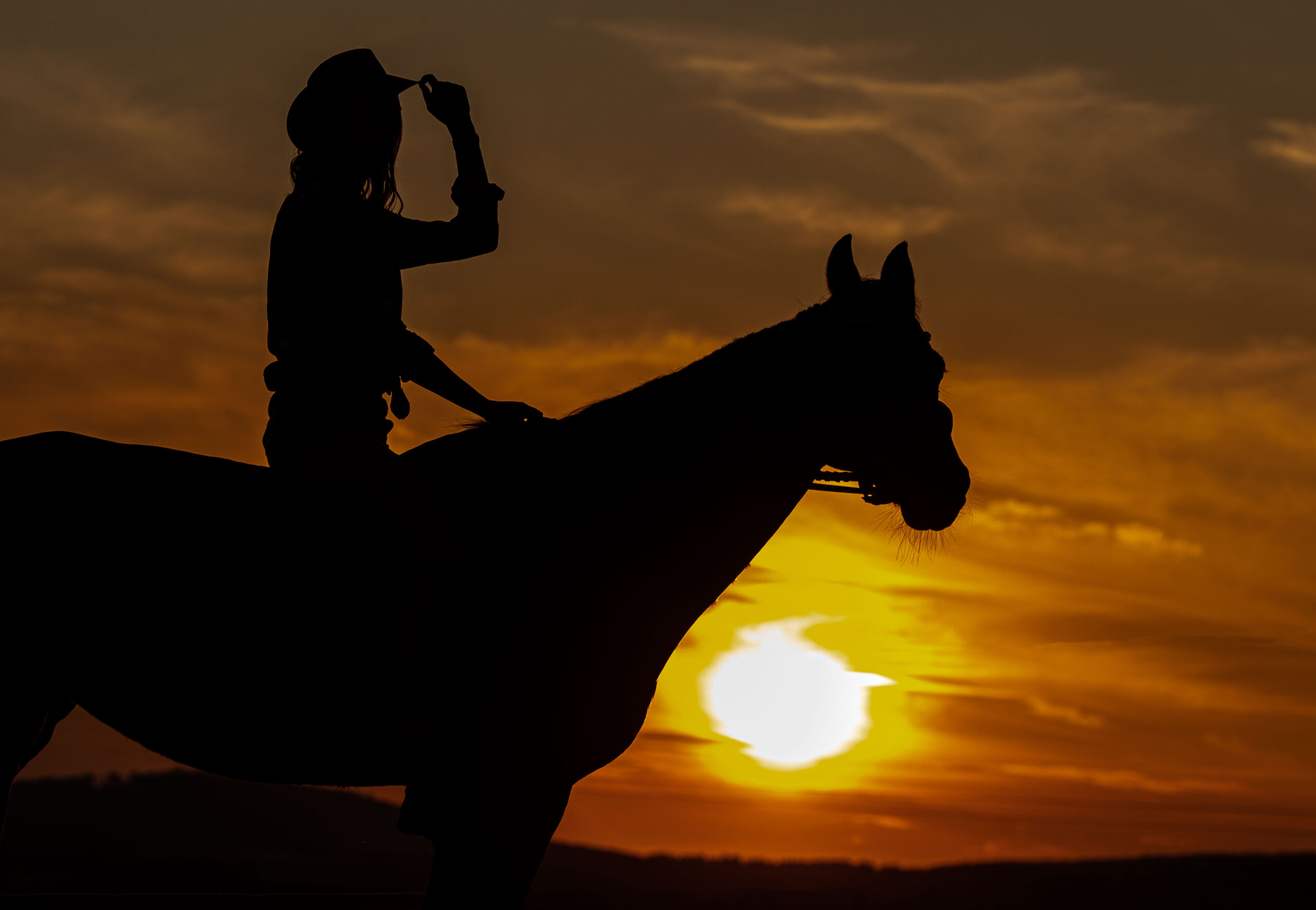 Ritt in den Sonnenuntergang, Pferd und Reiter beim Sonnenuntergang