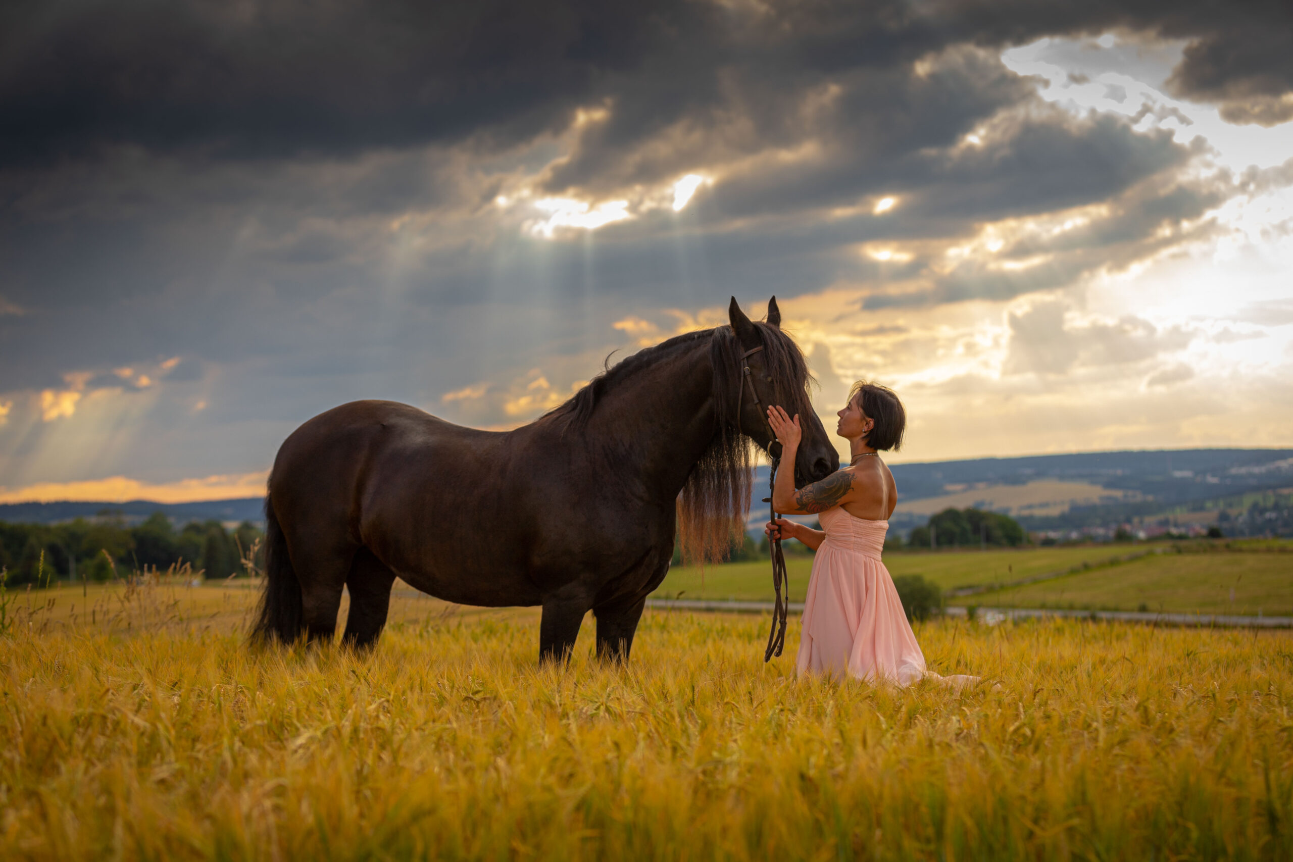 Pferd und Frau im Getreidefeld,Hunde und Pferdefotografie im Erzgebirge, Hunde und Pferdeshooting im Erzgebirge.