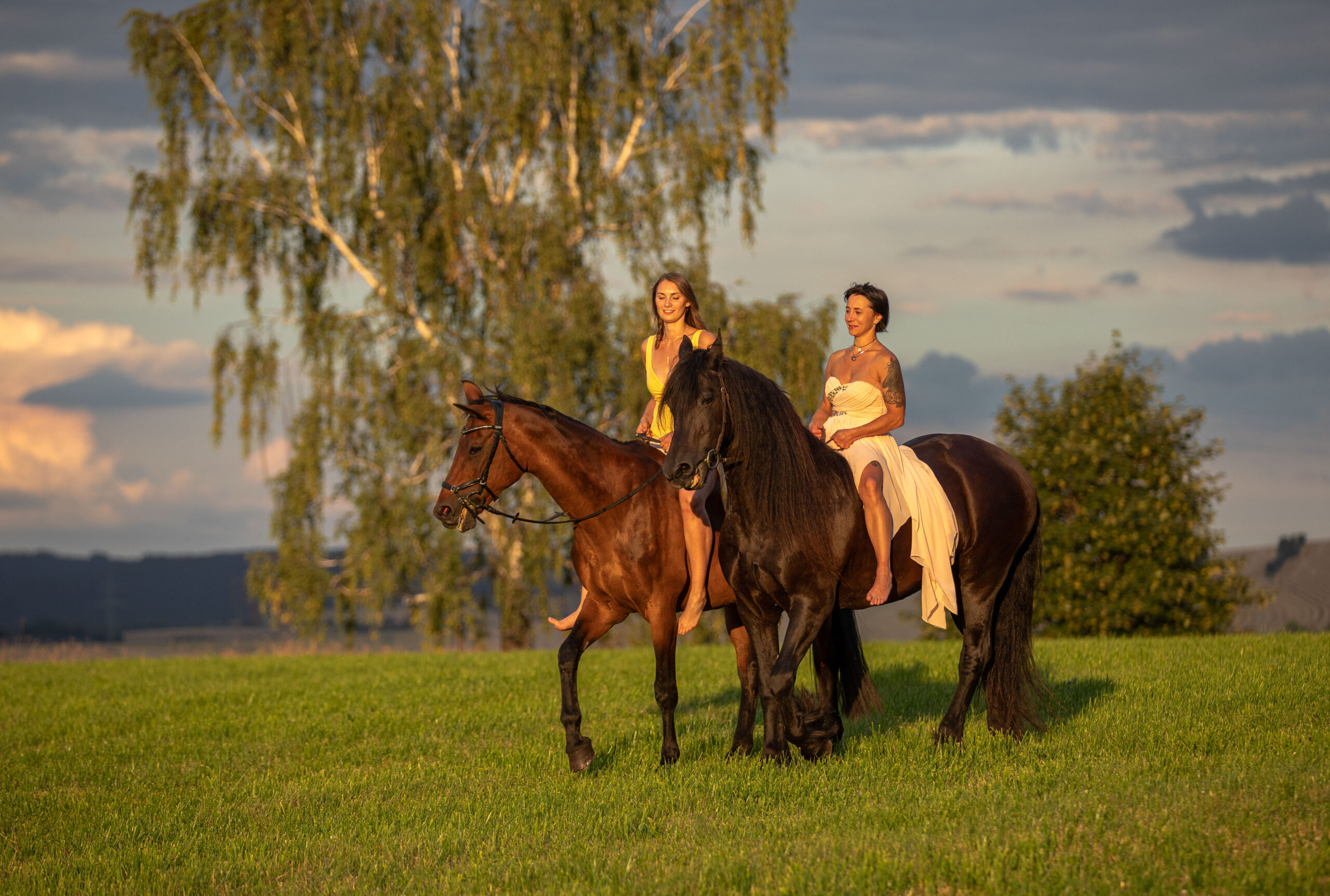 Zwei Frauen reiten aus im Sommerabend,Hunde und Pferdefotografie im Erzgebirge, Hunde und Pferdeshooting im Erzgebirge.