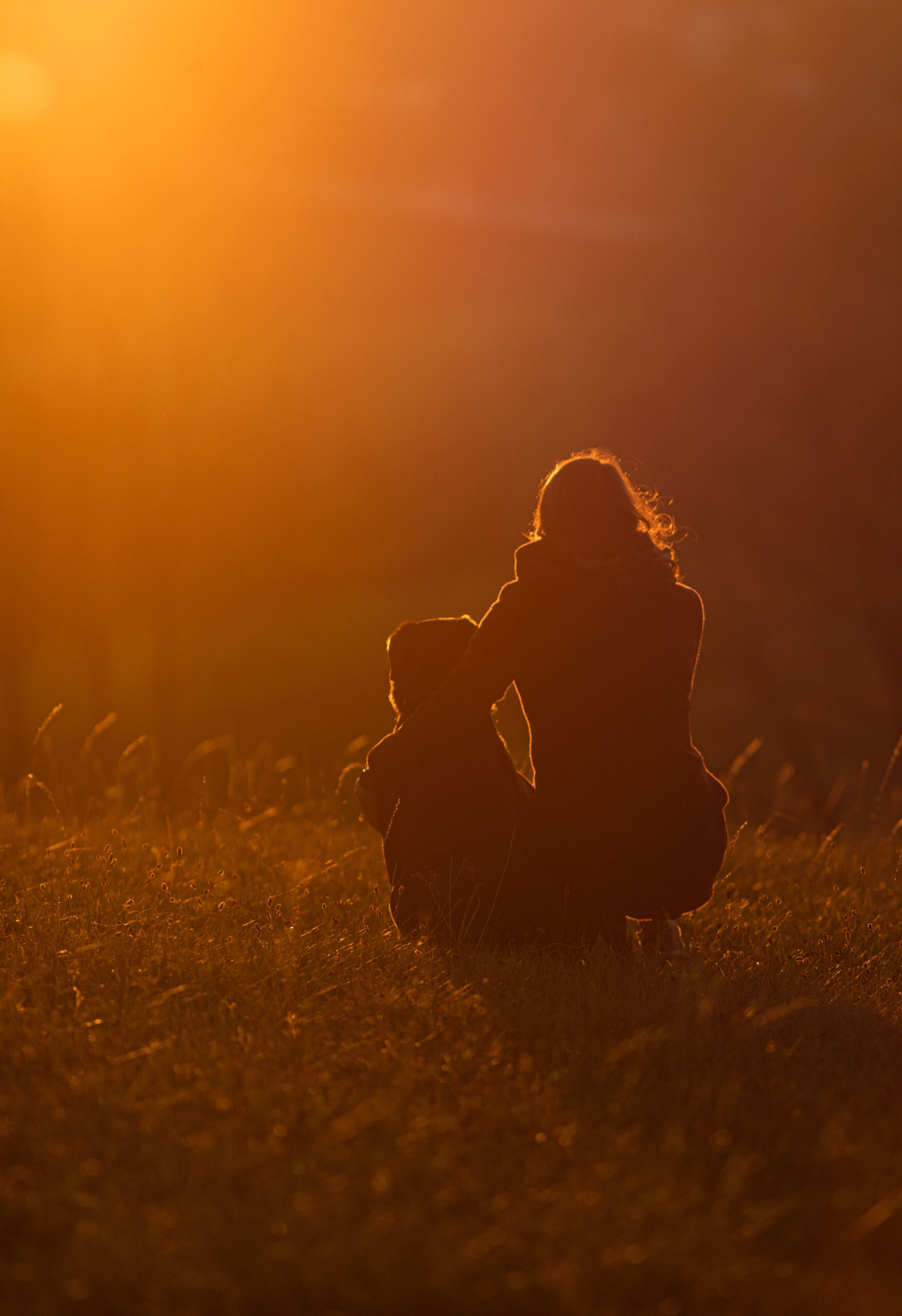 Frau umarmt ihren Hund und schaut in den Sonnenuntergang, Hunde und Pferdefotografie im Erzgebirge, Hunde und Pferdeshooting im Erzgebirge.