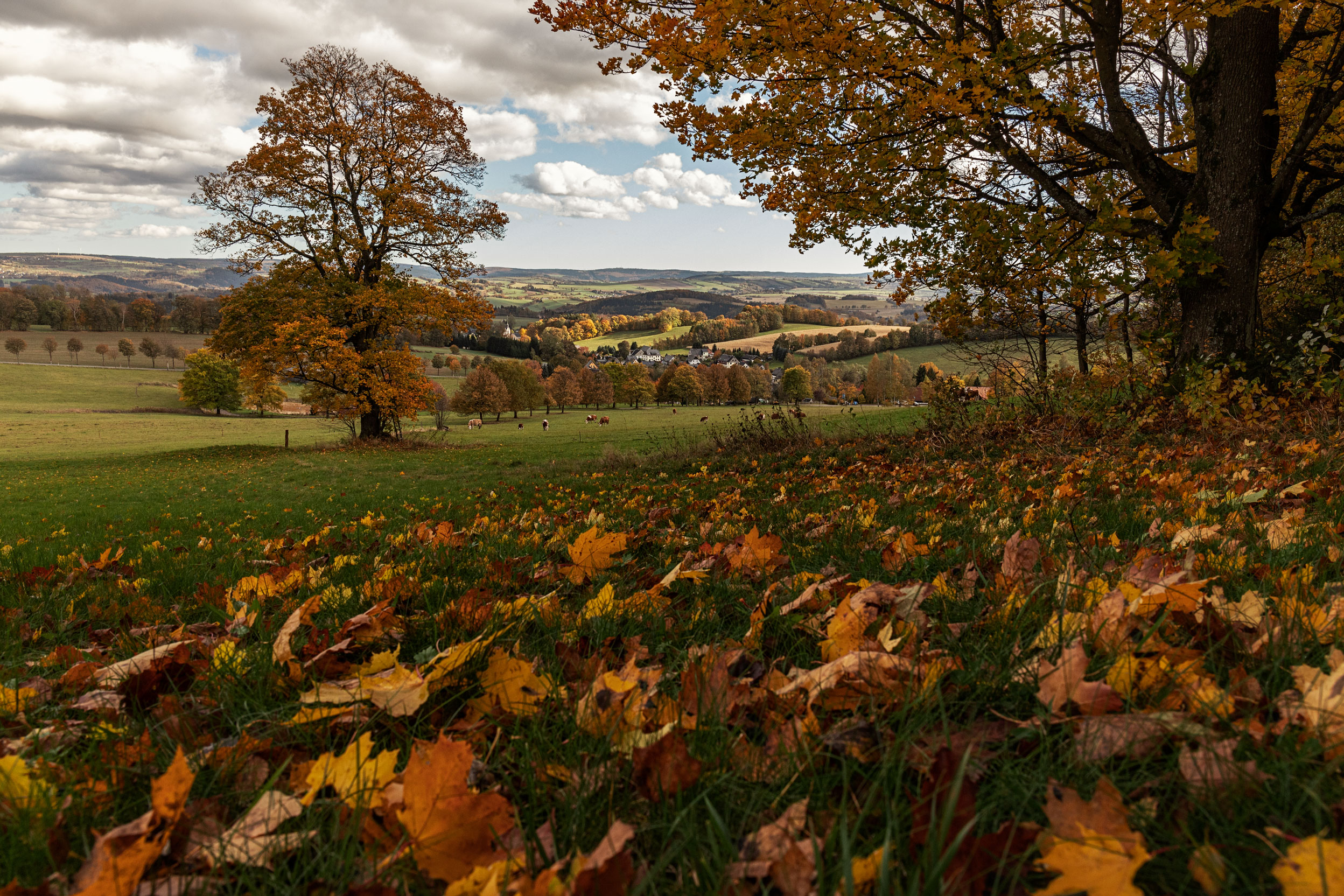 Herbst am Kalten Muff