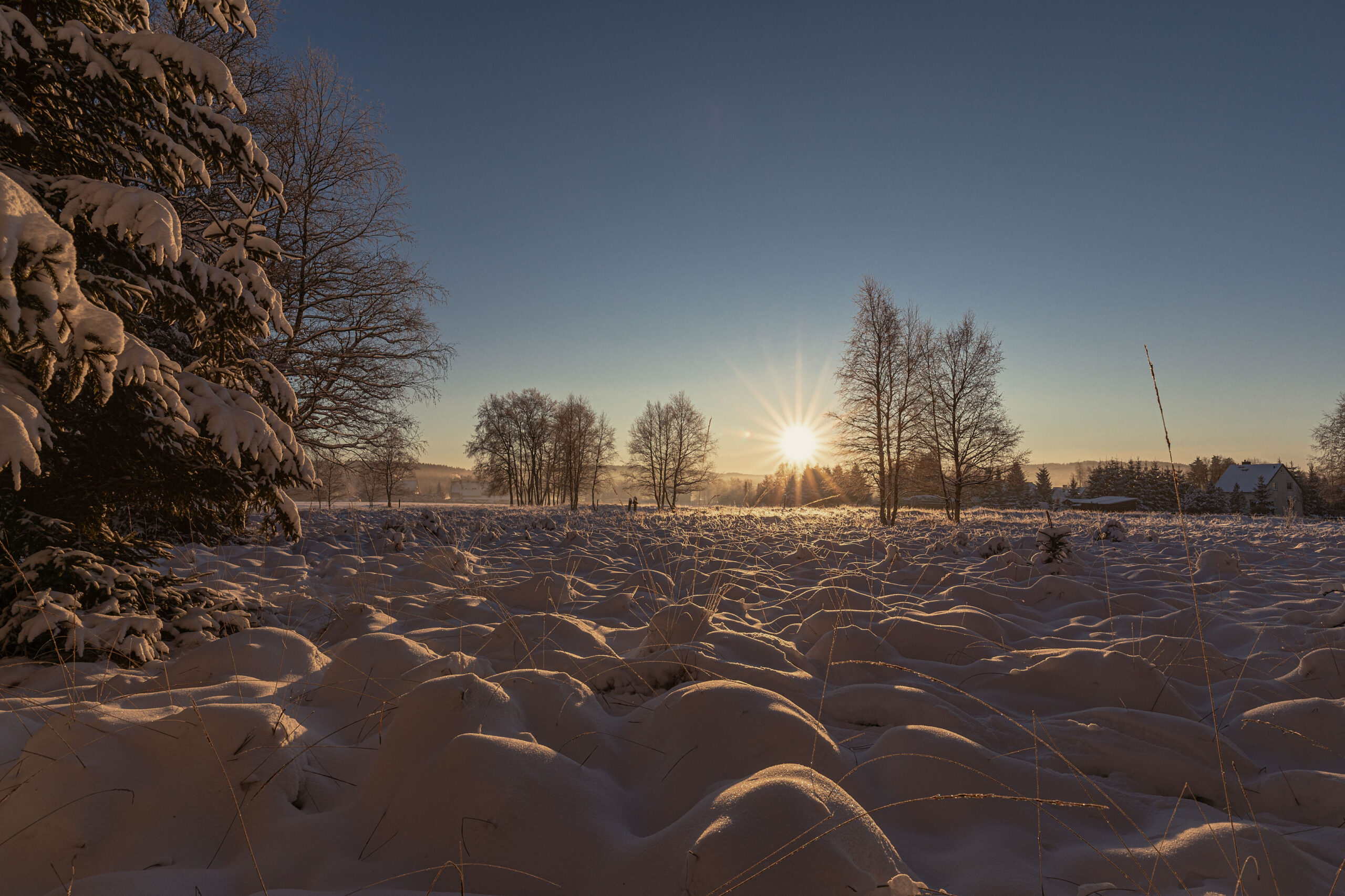 Kalter Wintermorgen in Kühnhaide