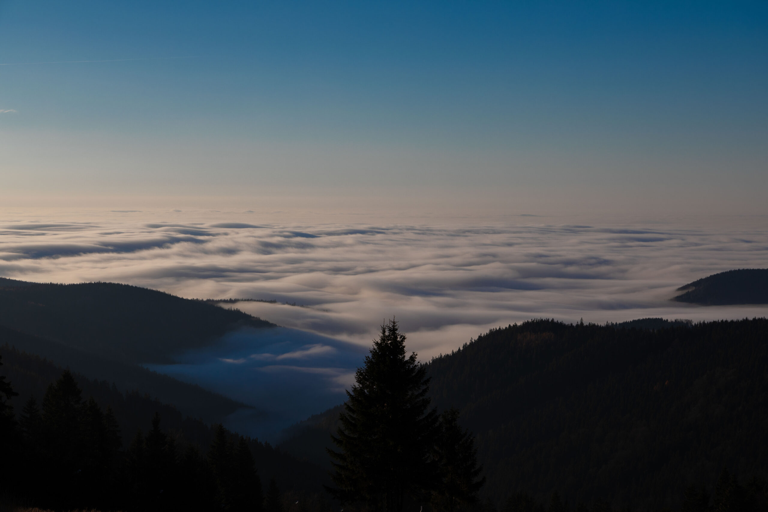 Nebelmeer in Neklid