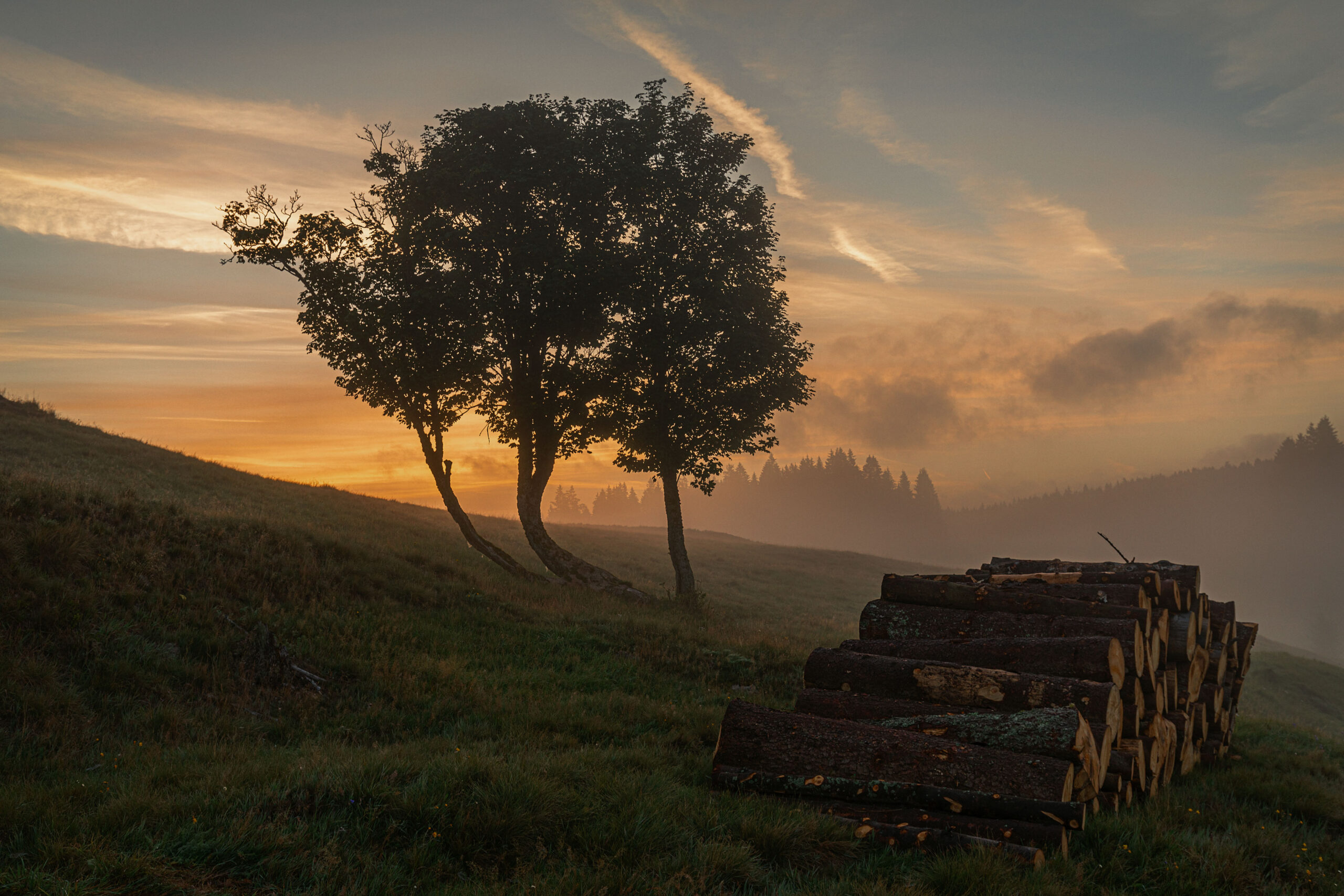 Nebliger Morgen im böhmischen Erzgebirge