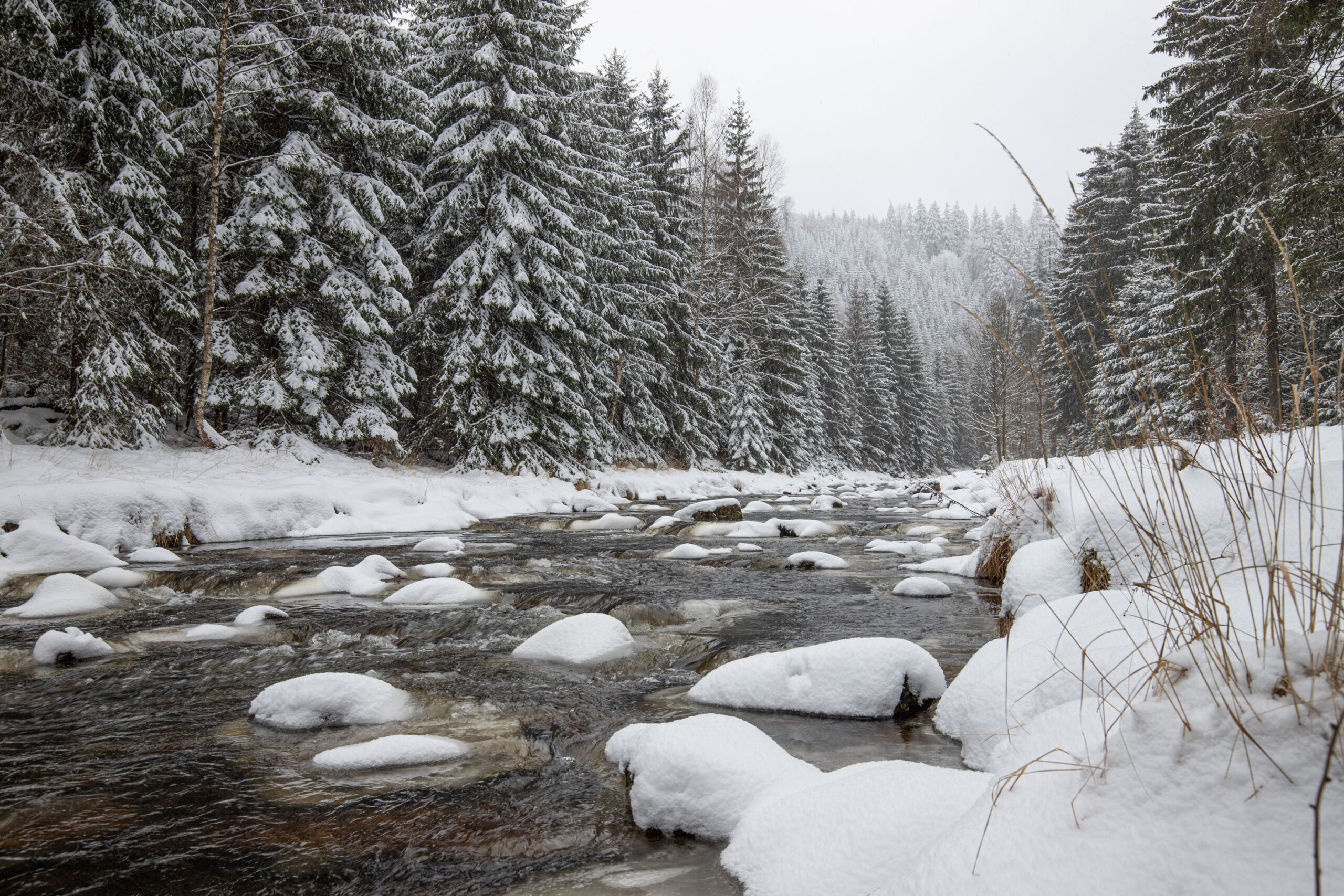 Das Schwarzwassertal tief verschneit