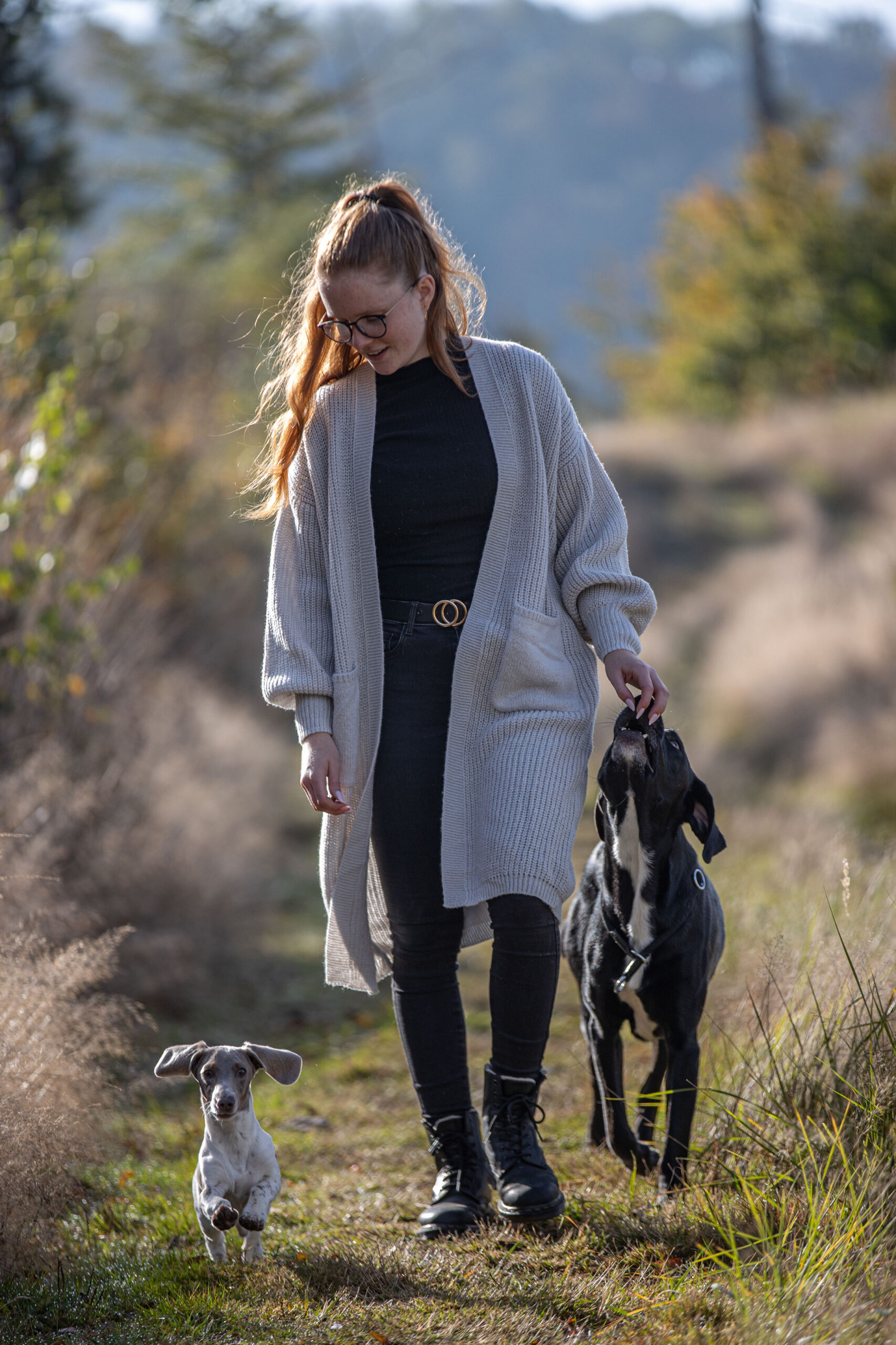 Frau spaziert mit ihren zwei Hunden einen Waldweg entlang