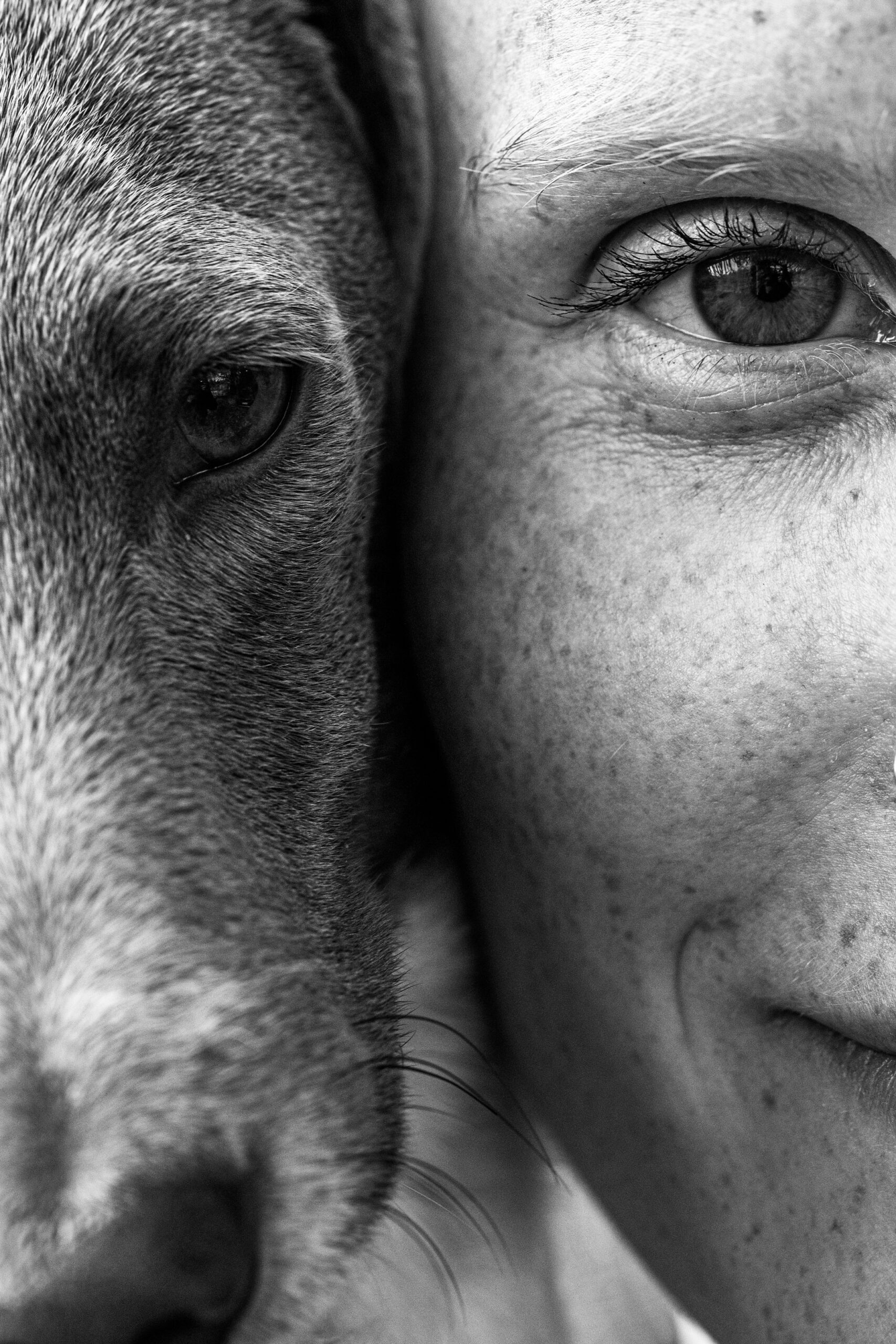 Gesichtsportrait einer Frau mit Hund welches sich auf die Augenpartien des Menschen und Tieres konzentriert.