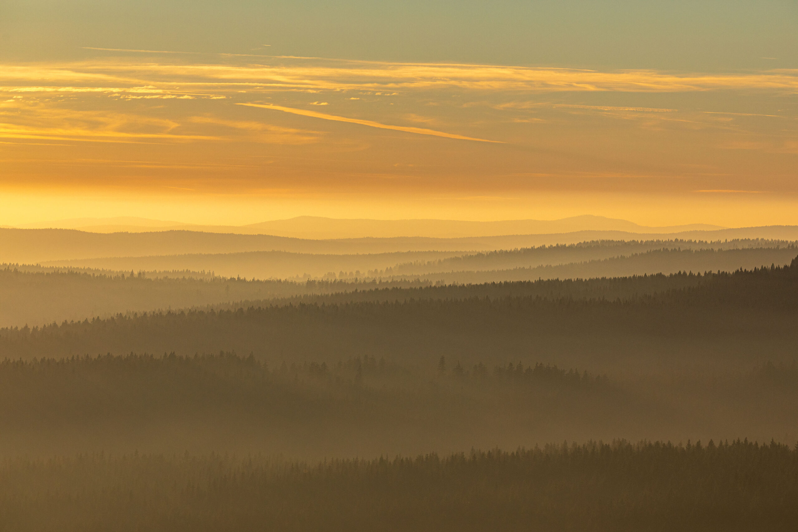 Sonnenuntergang im böhmischen Erzgebirge. Nebel liegt zwischen den Baumreihen, der Himmel hat eine Gelbfärbung