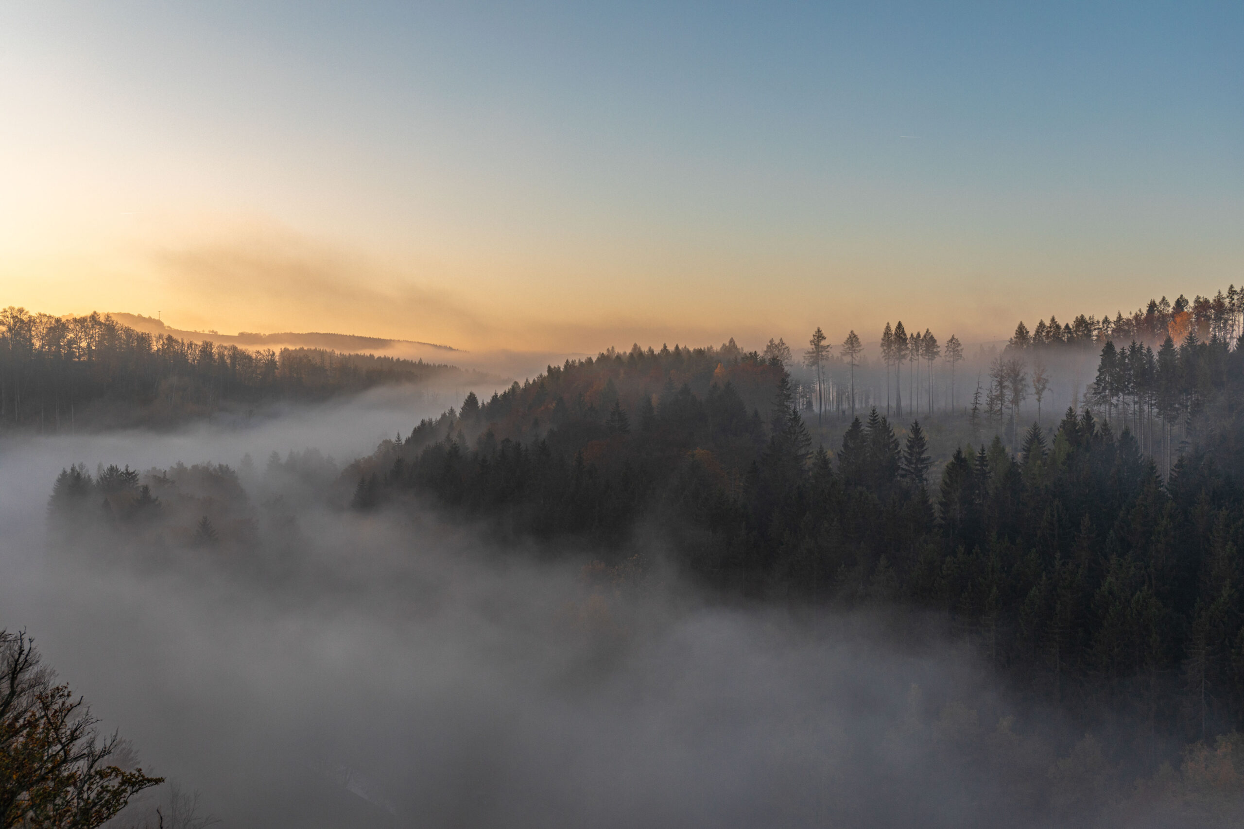 Zäher Nebel hängt in den Wäldern fest