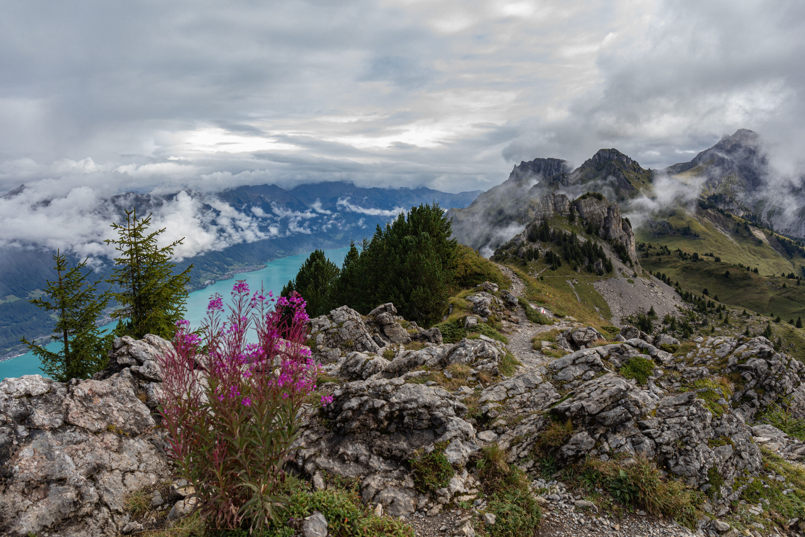 Blick auf den Brienzer See von der Schynige Platte