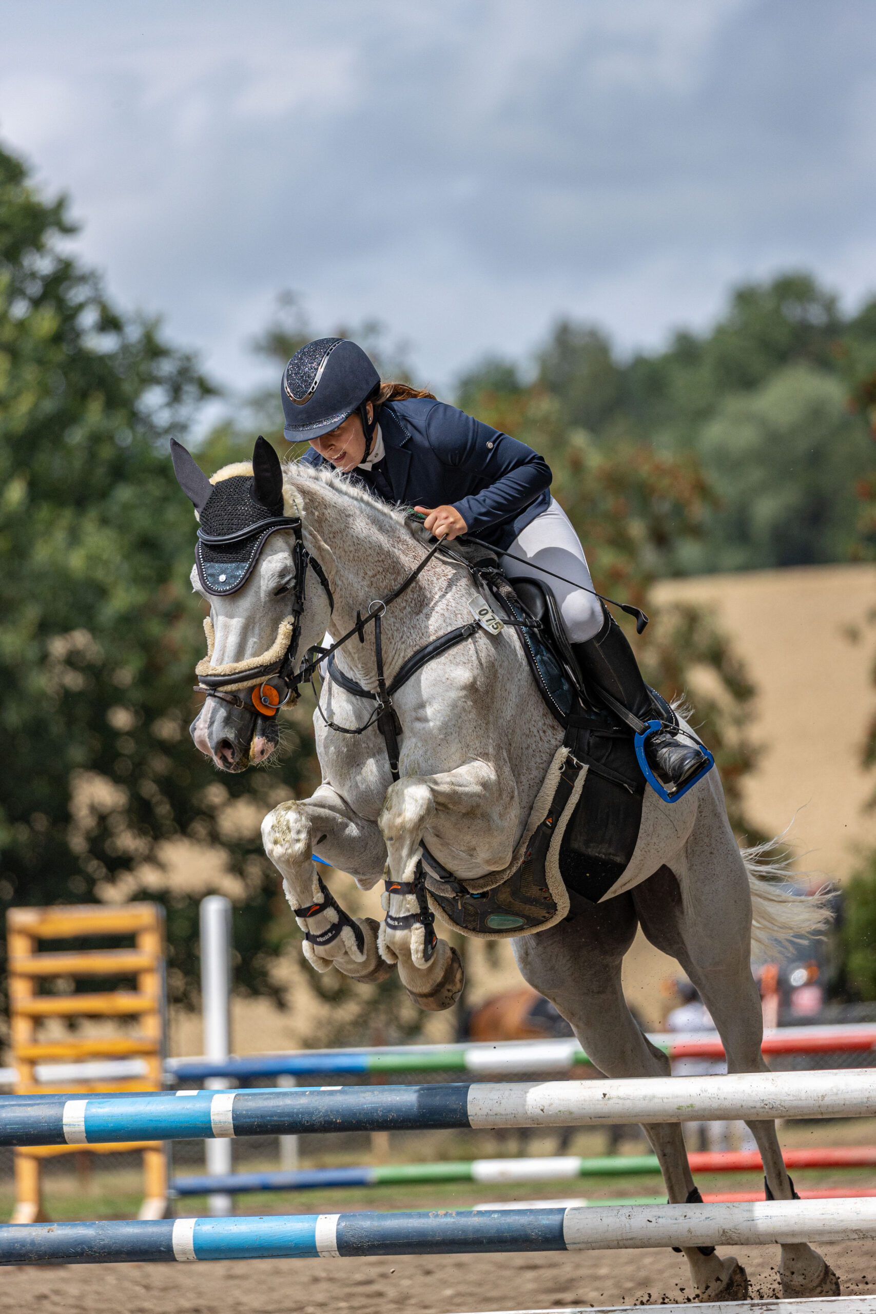 Reiterin mit Pferd springt über Hindernis