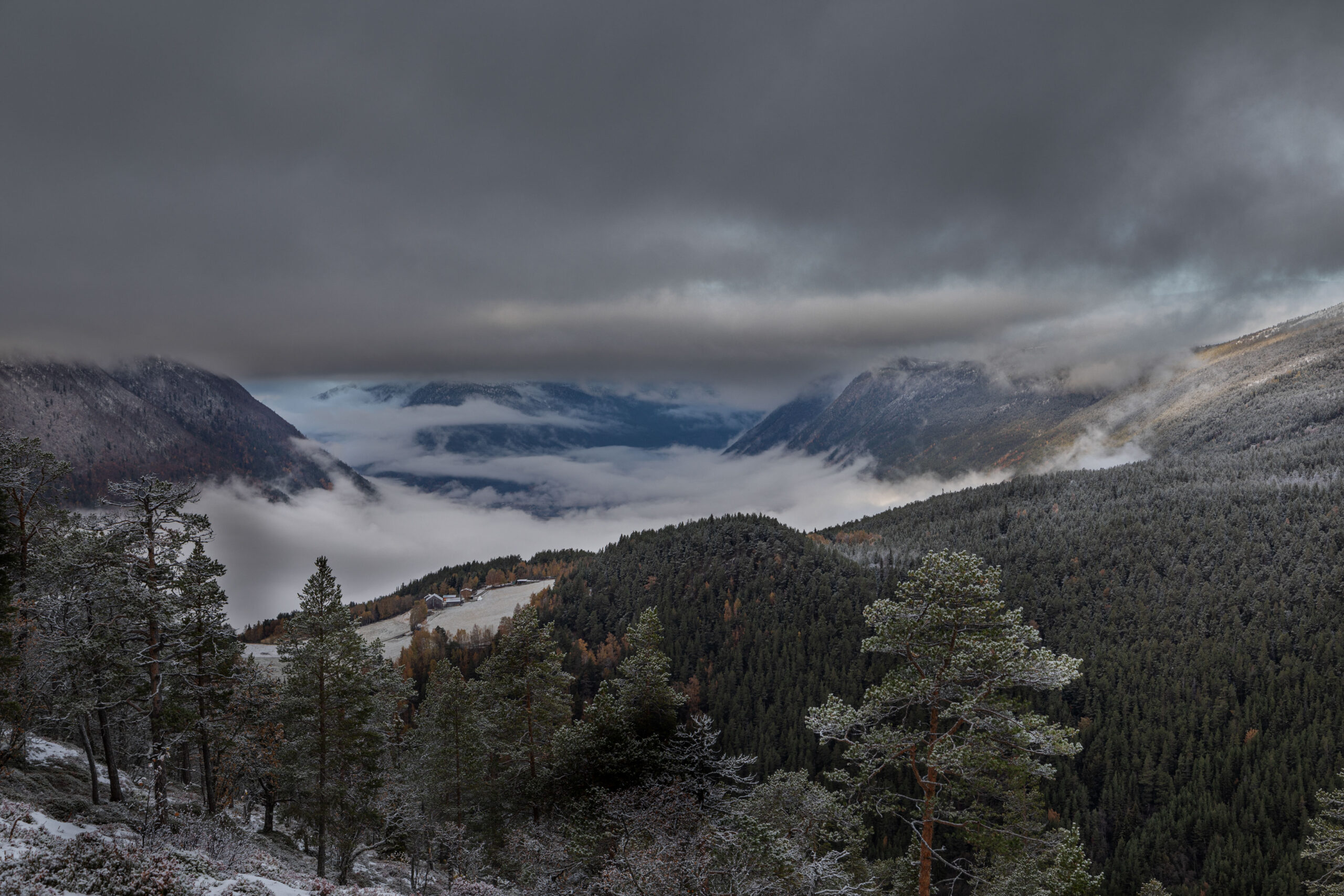 Ein mit Nebel gefülltes Tal im Nationalpark Breheimen