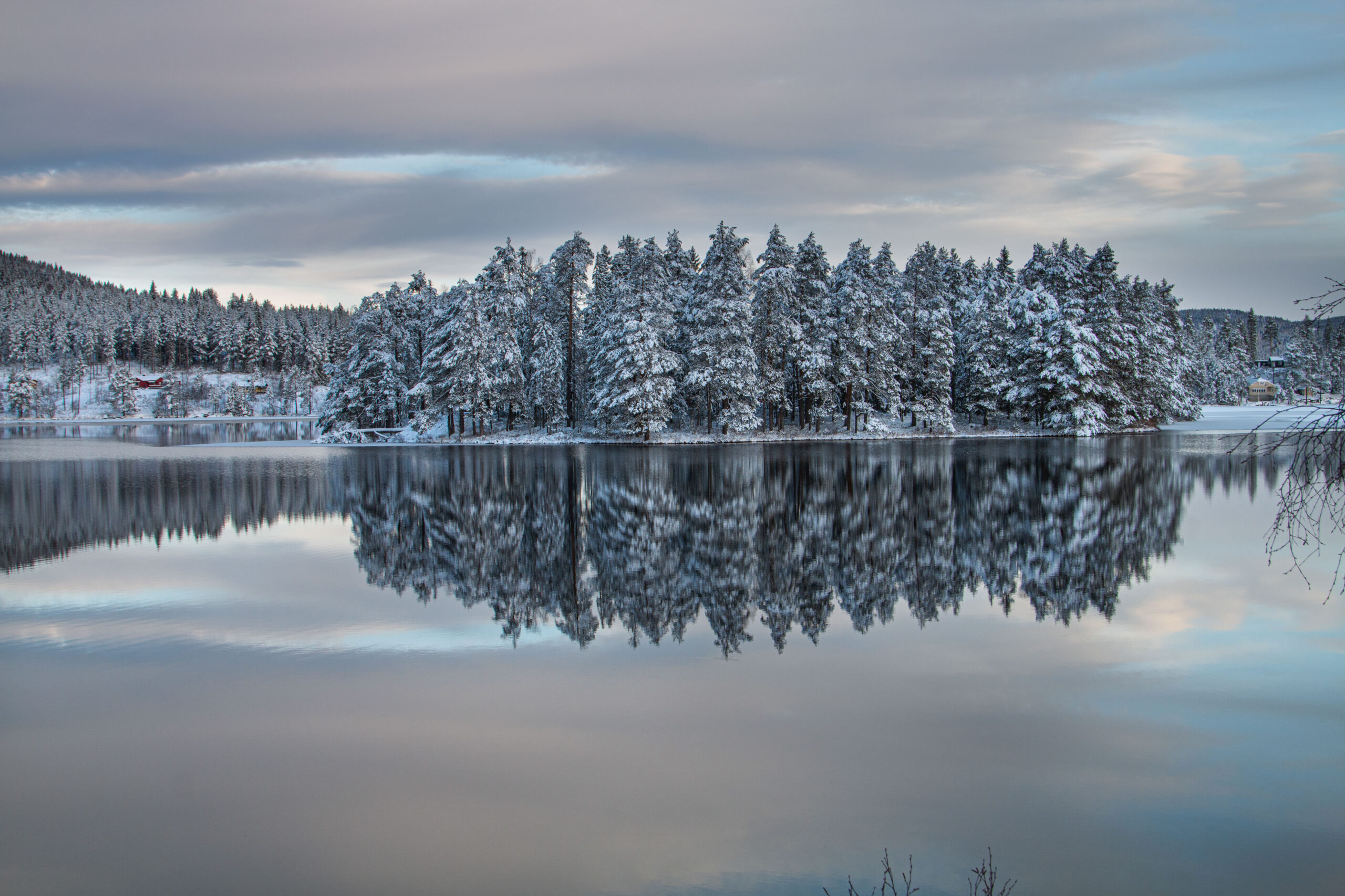 Wasserspiegelung einer verschneiten Baumgruppe im See