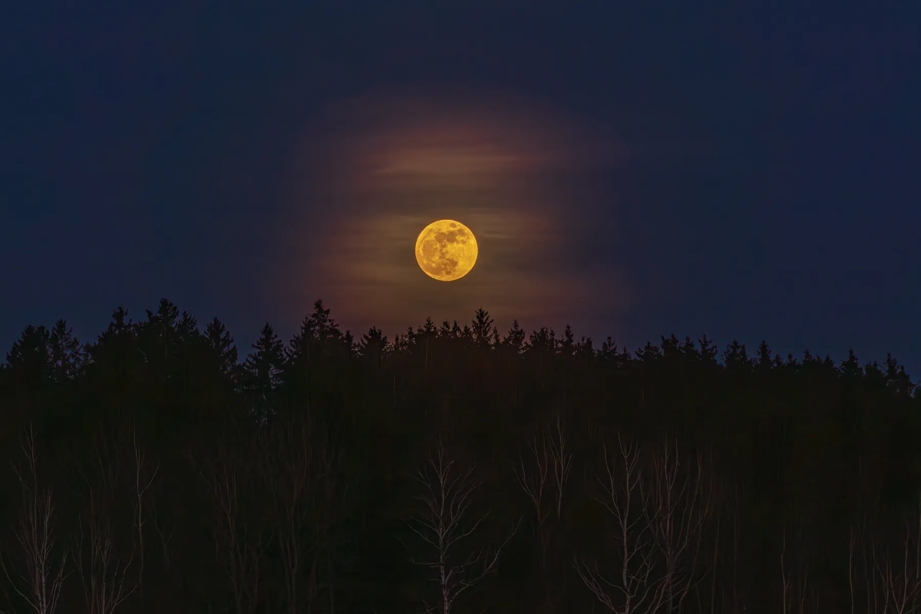 Vollmond über dunklem Waldhorizont im Erzgebirge bei Nacht