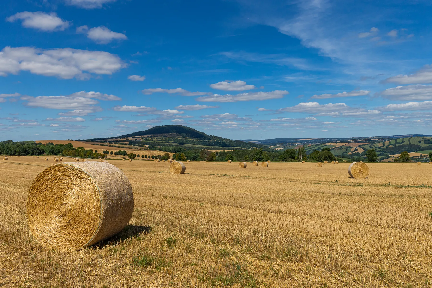 Eine ländliche Szene mit dem Pöhlberg im Hintergrund, runde Heuballen auf einem abgeernteten Getreidefeld unter einem blauen Himmel mit Wolken im Vordergrund, sanfte Hügel und grüne Felder bilden den Hintergrund.
