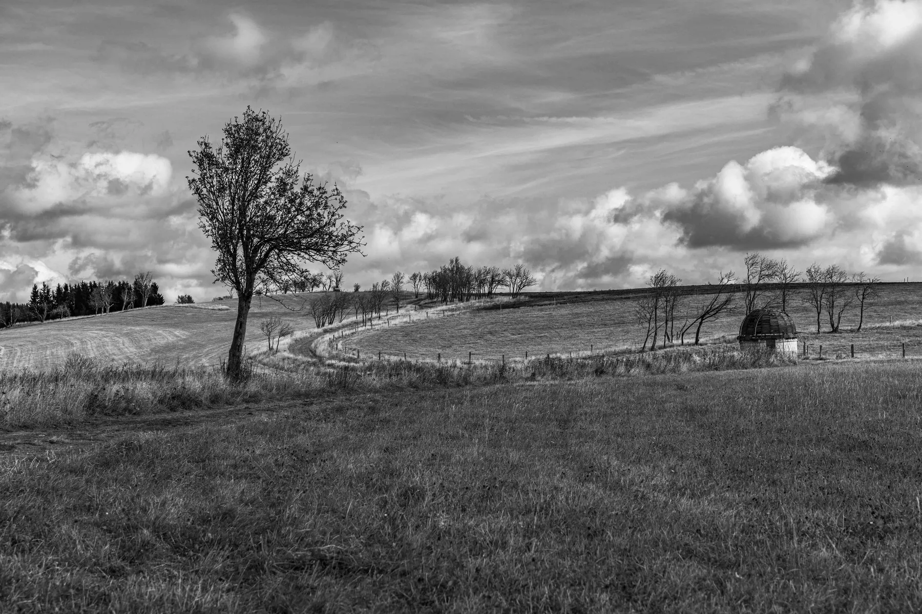 Weite Hügellandschaft mit einzelnem Baum und Feldhütte unter Wolkenhimmel im Erzgebirge