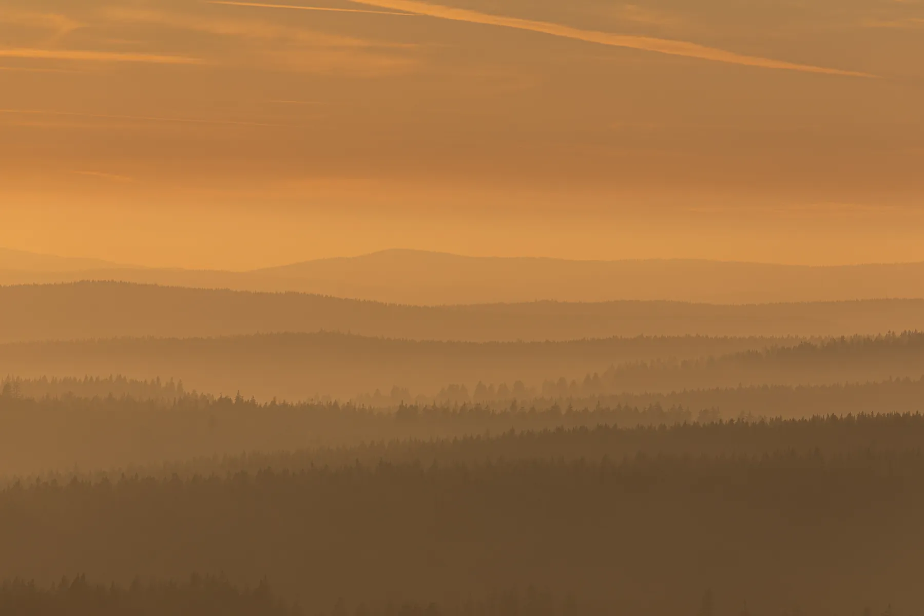 Sanfte Nebelschichten über bewaldeten Höhenzügen im Erzgebirge