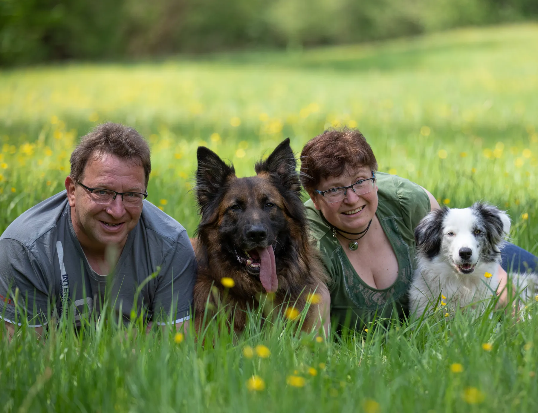 Ein Mann und eine Frau liegen im hohen Gras neben einem großen braunen Hund und einem kleinen weiß-grauen Hund, alle lächeln, mit einem verschwommenen grünen und gelben Feld im Hintergrund.