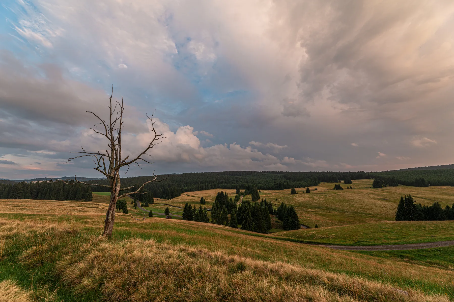 Weite Mittelgebirgslandschaft mit kahlem Baum und Wolkenstimmung