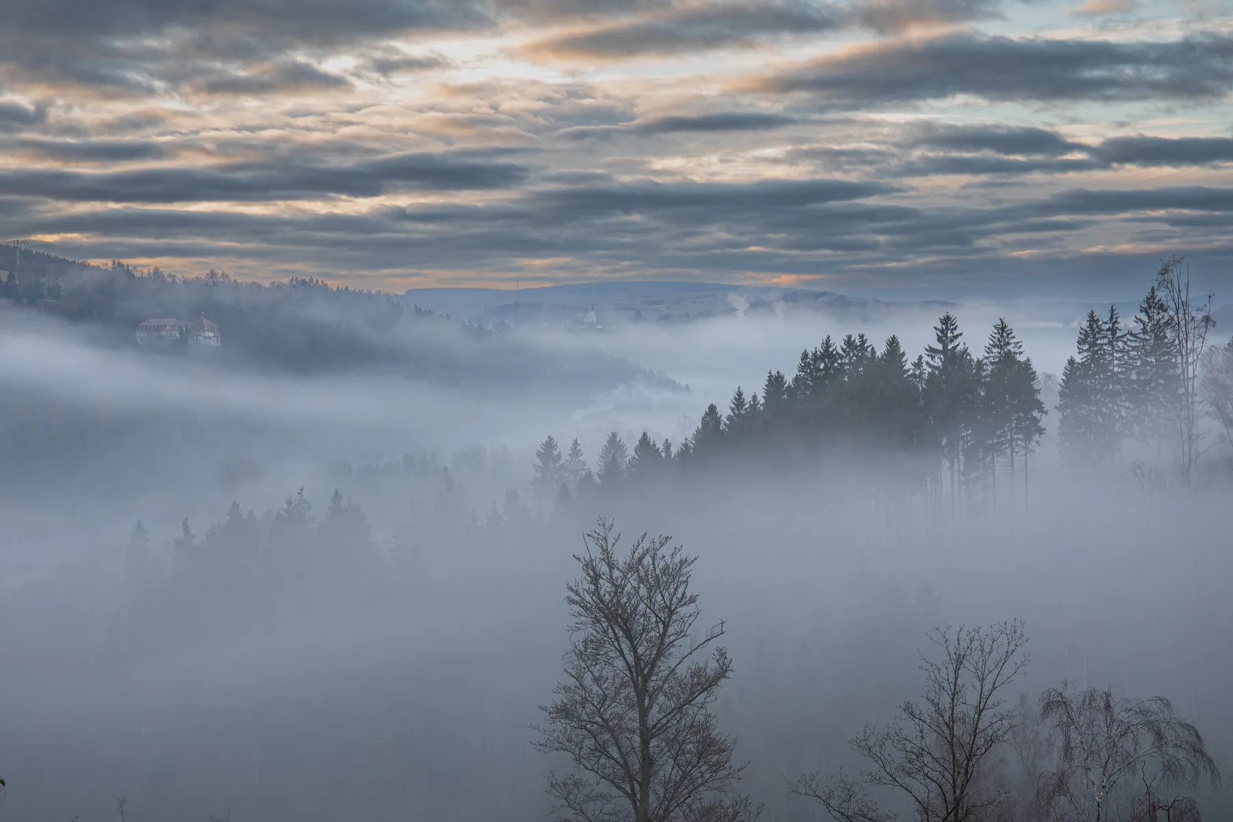 Nebel zieht durch bewaldete Hügel mit vereinzelten Baumgruppen