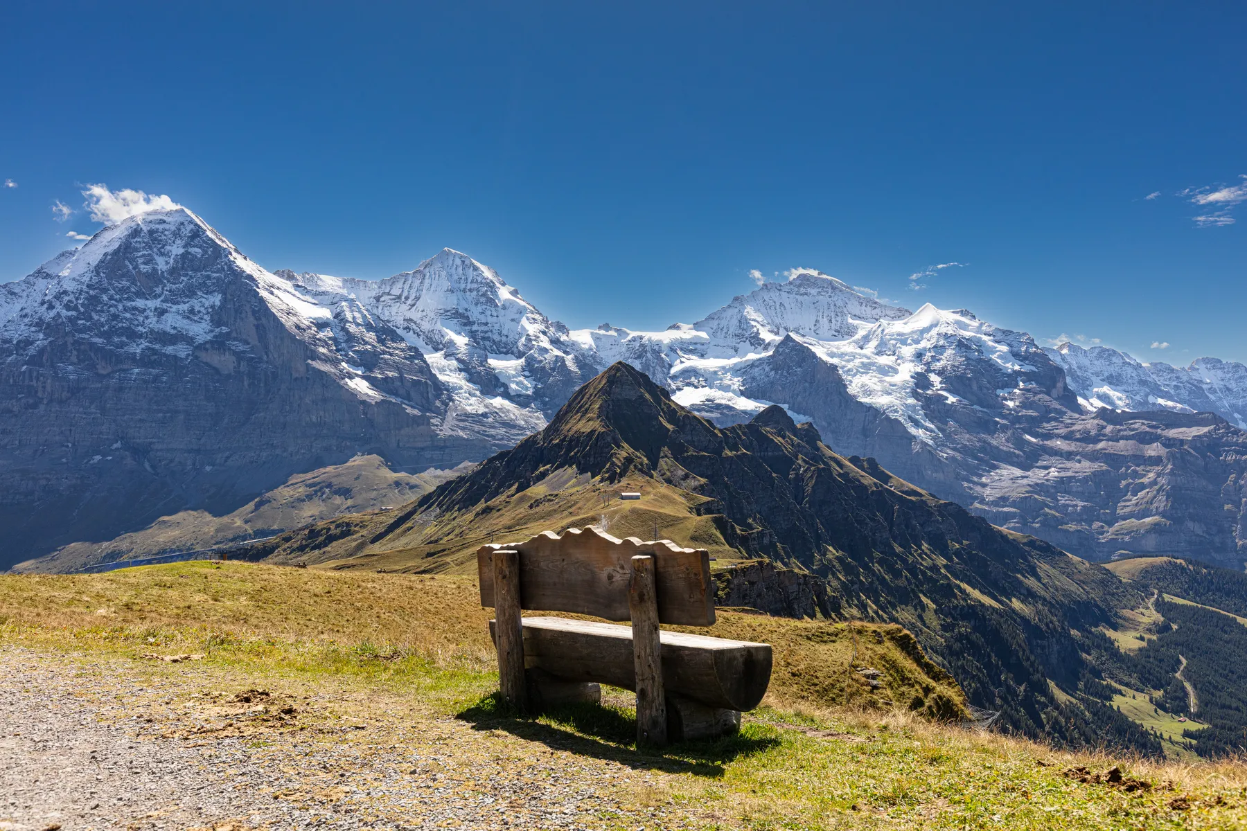 Eine hölzerne Bank über die der Blick auf die schneebedeckten Berge unter einem klaren blauen Himmel zu einer malerische Alpenlandschaft geht welche aus dem gigantischen Bergmassiv von Eiger Mönch und Jungfrau besteht. Im Vordergrund ragt der Tschuggen empor der sich deutlich abhebt von den alpinen Bergen durch seine grüne Vegetation.