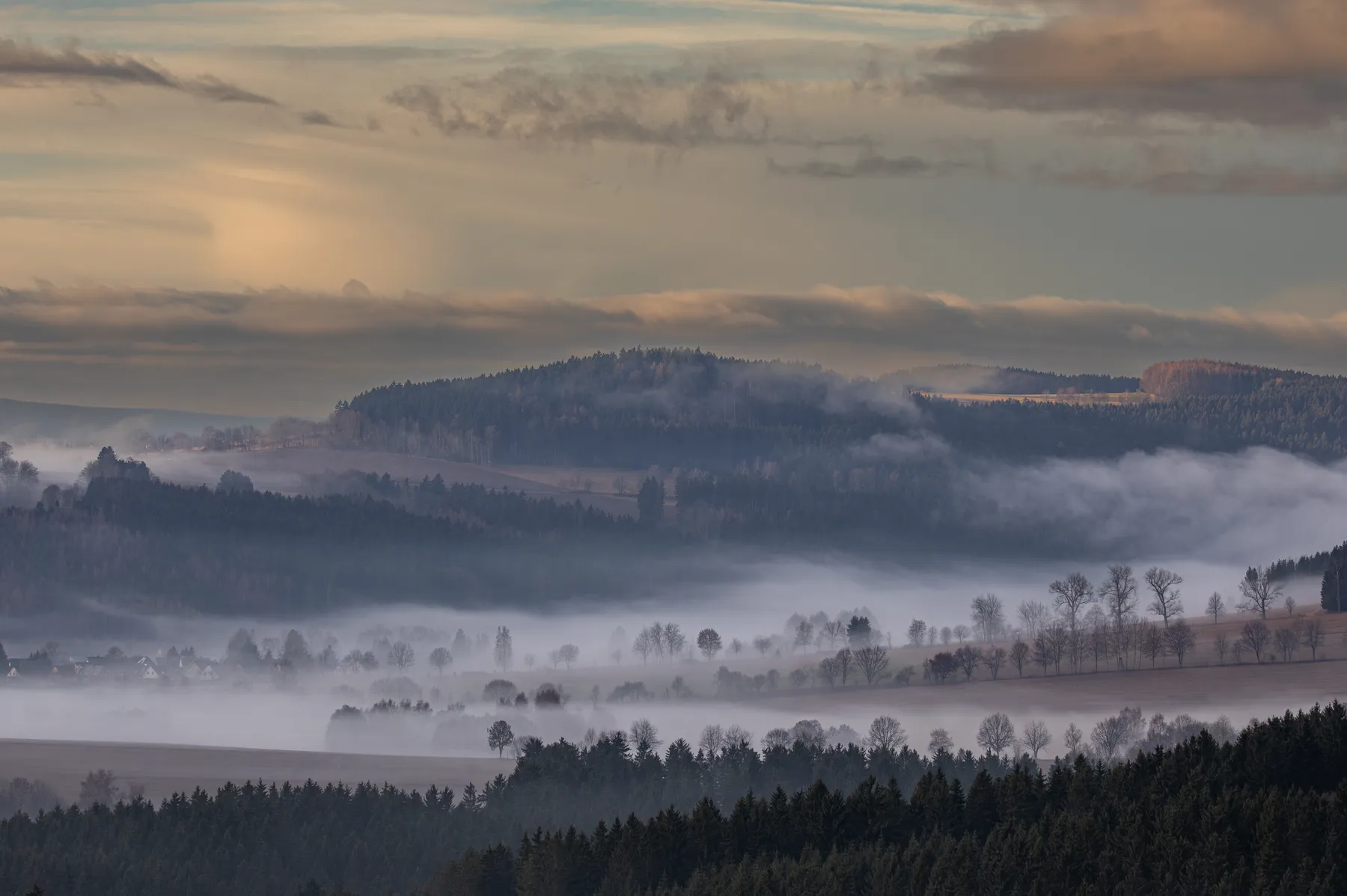 Sanfte Nebelschichten über bewaldeten Hügeln mit vereinzelten Bäumen im Morgenlicht