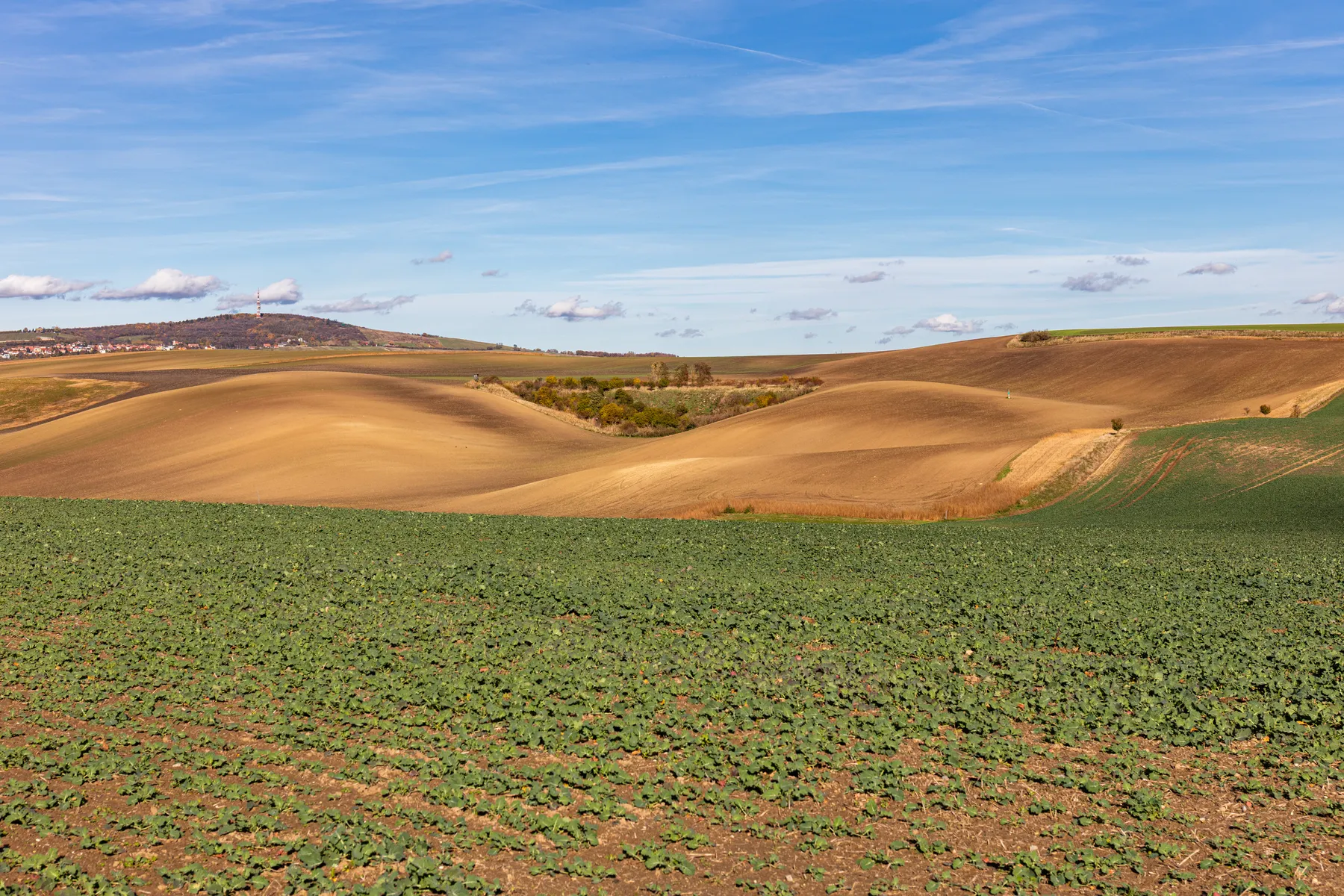 Landschaftsfotografie in der Mährischen Toskana welcher sanfte Hügel mit grünen Feldern im Vordergrund zeigt, goldene gepflügte Felder in der Mitte und einen entfernten Hügel mit Bäumen unter einem blauen Himmel mit vereinzelten Wolken. Im Hintergrund ist ein rot weißer Turm und einige Häuser zusehen