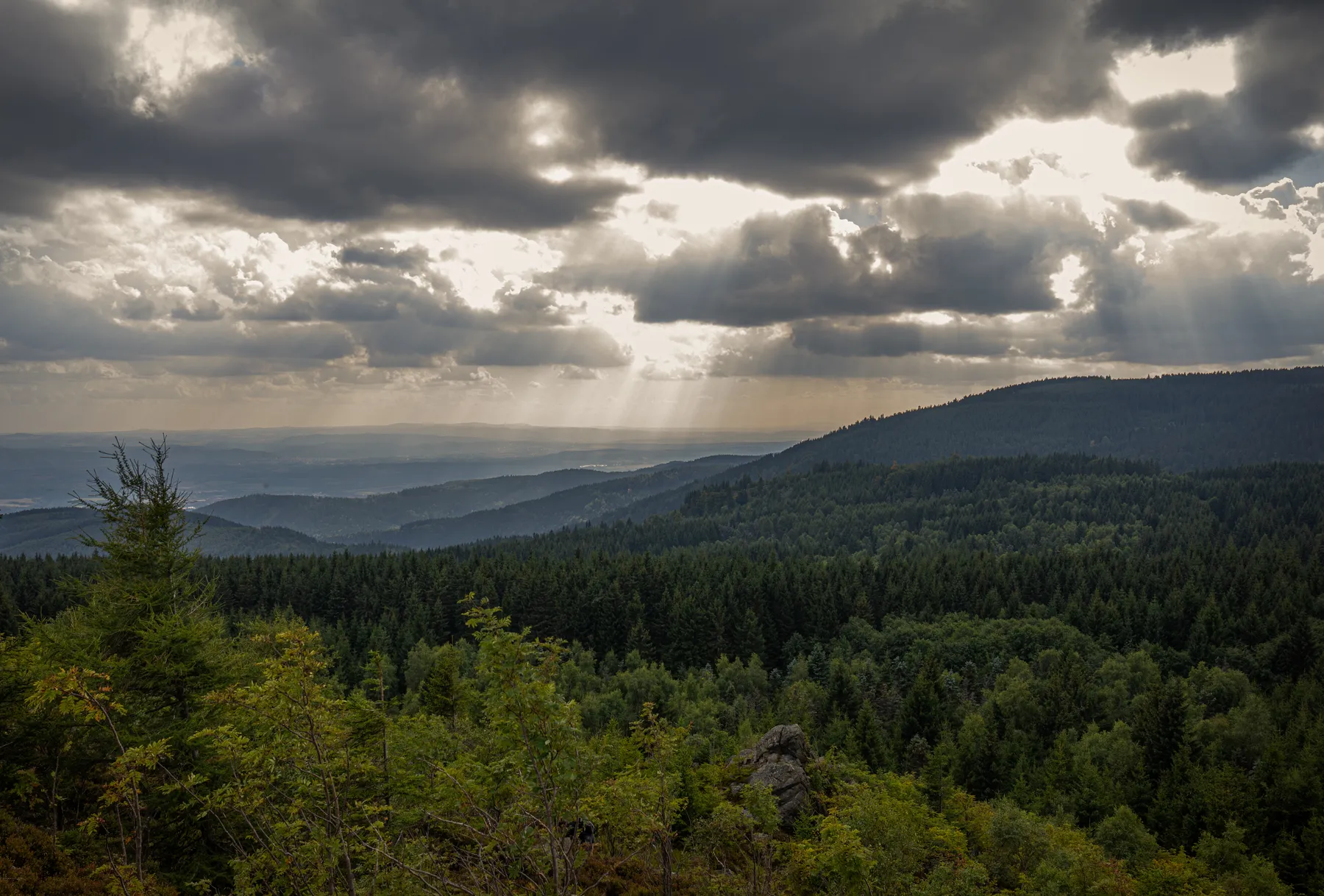 Sonnenstrahlen brechen durch dichte Wolken über einer bewaldeten Hügellandschaft