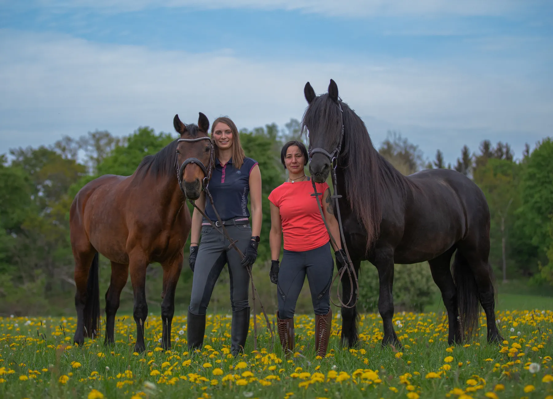 Zwei Frauen stehen in einem gelben Blumenfeld, jede hält die Zügel eines Pferdes. Ein Pferd ist braun, das andere schwarz. Im Hintergrund sind Bäume und ein bewölkter blauer Himmel zu sehen.