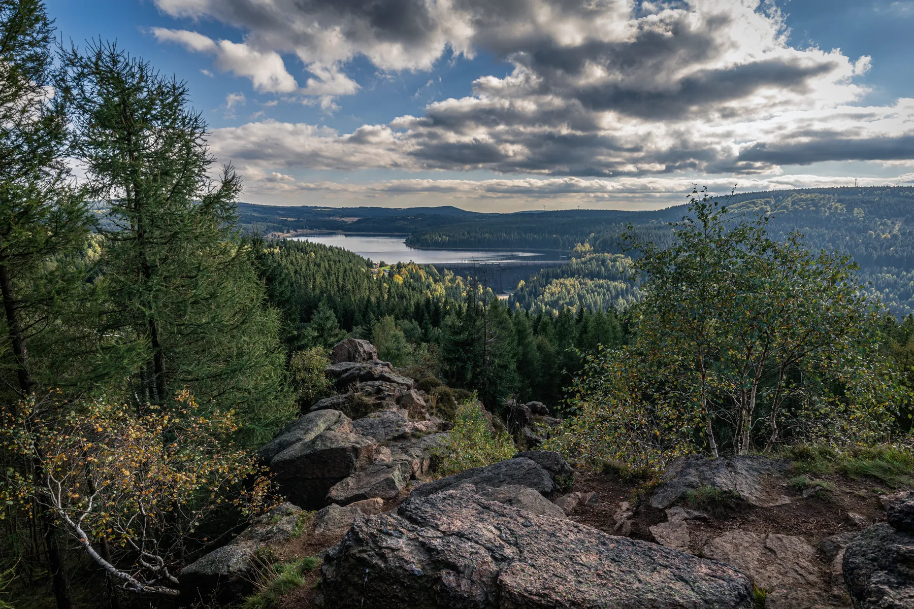 Blick von felsigem Aussichtspunkt über dichten Wald und eine Talsperre