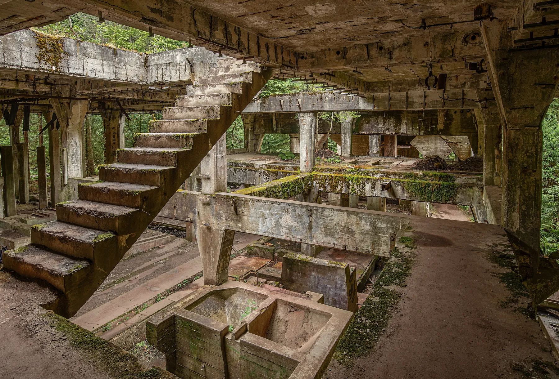 Verlassene Industrieanlage Zinnwäsche Sauersack mit Betontreppe im Wald des Erzgebirges