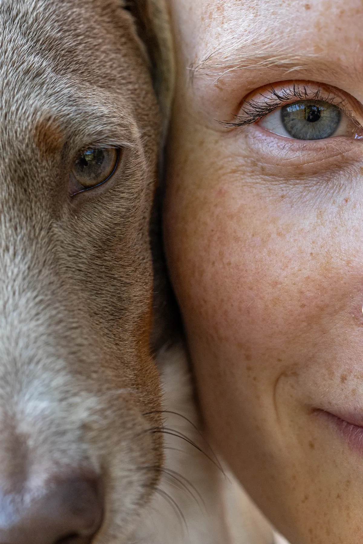 Nahaufnahme des Gesichts einer Frau neben dem Gesicht eines Hundes, beide schauen geradeaus. Von beiden Gesichtern ist nur die Hälfte zu sehen, wobei die Augen und ähnliche Haut- und Felltöne hervorgehoben werden.