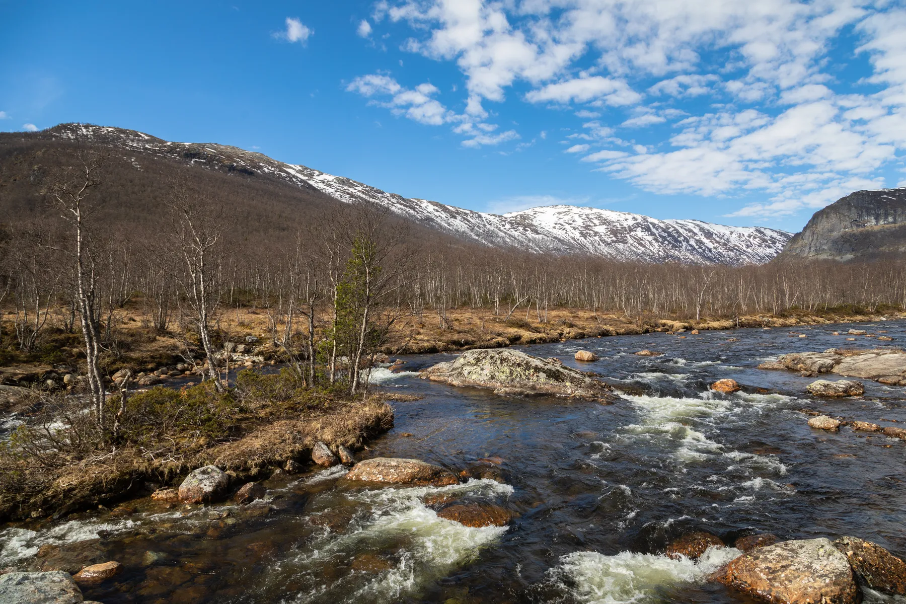 Ein klarer Fluss fließt über Felsen durch einen Wald mit blattlosen Bäumen, mit schneebedeckten Bergen und einem teilweise bewölkten blauen Himmel im Hintergrund.