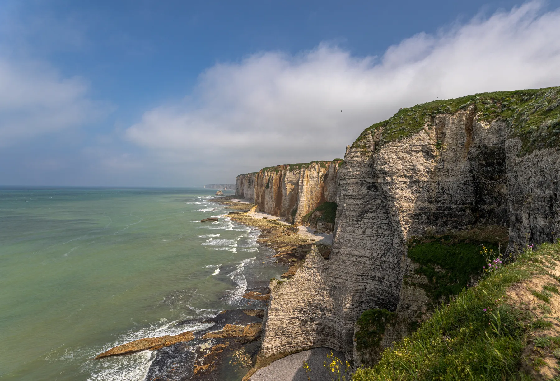 Die Alabasterküste der Normandie zeigt steile, weiße, kilometerlange Kreidefelsen über einer felsigen Küste und grünem Meer, mit Gras und kleinen Blumen auf der Klippe unter einem teilweise bewölkten Himmel.