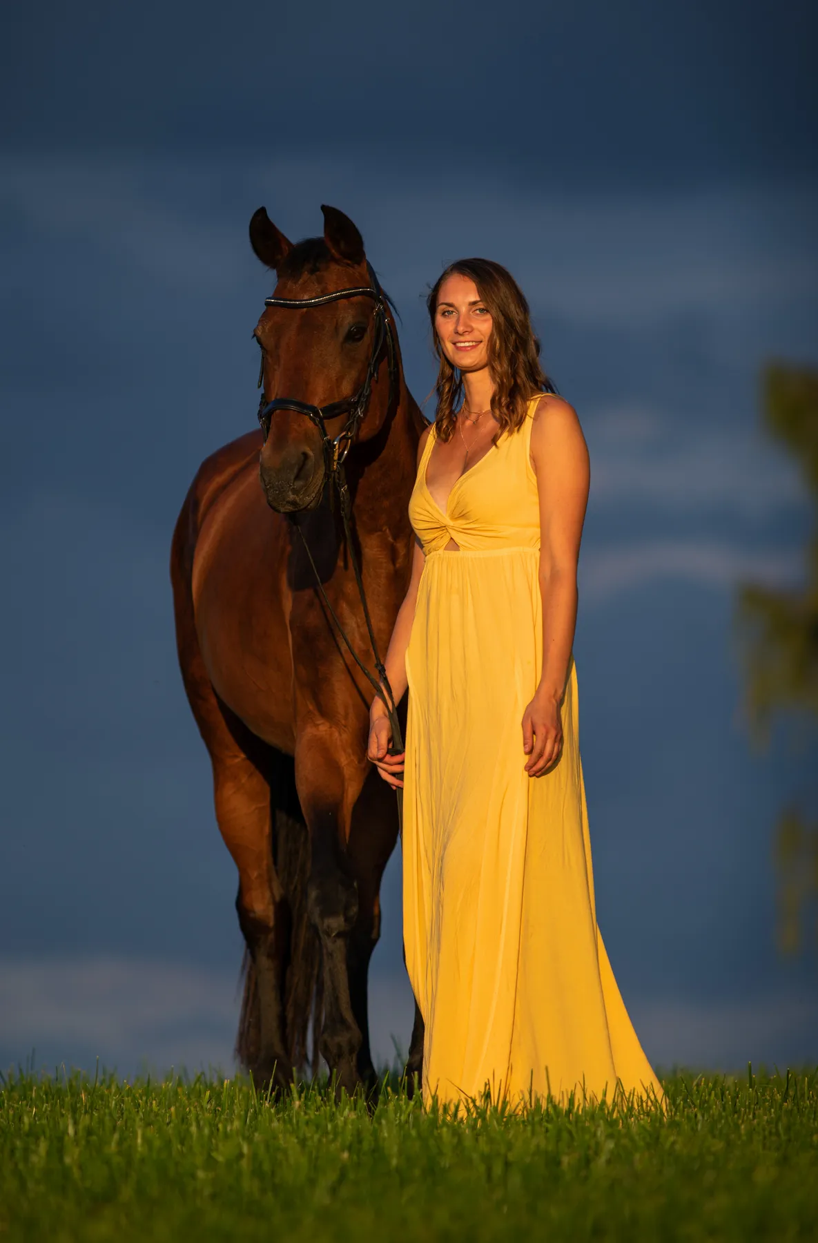 Eine Frau in einem langen gelben Kleid steht neben einem dunkelbraunen Pferd auf einer grasbewachsenen Wiese, beide in warmes Sonnenlicht getaucht, vor dem Hintergrund eines dunkelblauen, bewölkten Himmels. Beide schauen frontal zur Kamera und sie hält mit einer Hand den Zügel
