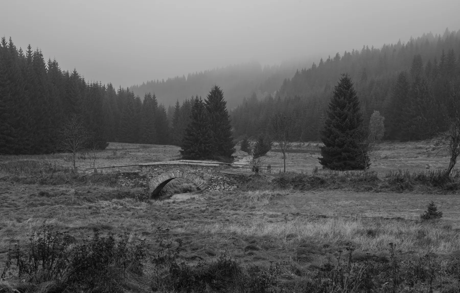 Kleine Steinbrücke in nebliger Wiesenlandschaft im schwarzwassertal bei Kühnhaide mit dunklem Nadelwald im Hintergrund