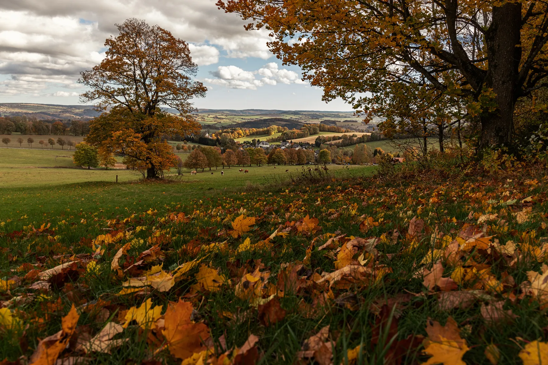 Herbstliche Landschaft am Kalten Muff bei Neundorf mit Feldern, Laubbäumen und weiter Aussicht über eine hügelige Region