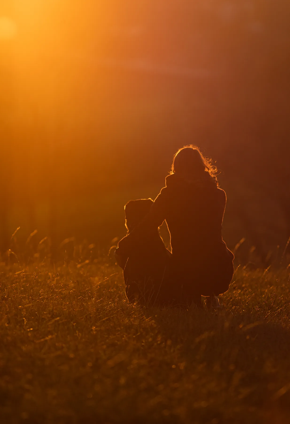 Emotionale Hundefotografie im warmen Abendlicht: Silhouetten von Mensch und Hund sitzen eng beieinander in einer goldenen Wiese bei Sonnenuntergang. Ruhe, Vertrauen und Verbundenheit stehen im Fokus. Natürliche Farben, Gegenlicht und sanfte Stimmung erzählen eine berührende Geschichte über Nähe, Loyalität und zeitlose Freundschaft für authentische Tierporträts und emotionale Hundebilder in Natur.