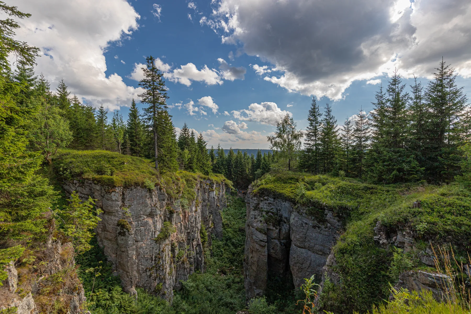 Eingestürzter Bergbau der Wolfspinge im Böhmischen Erzgebirge mit bewachsenen Steilwänden in einem dichten Wald